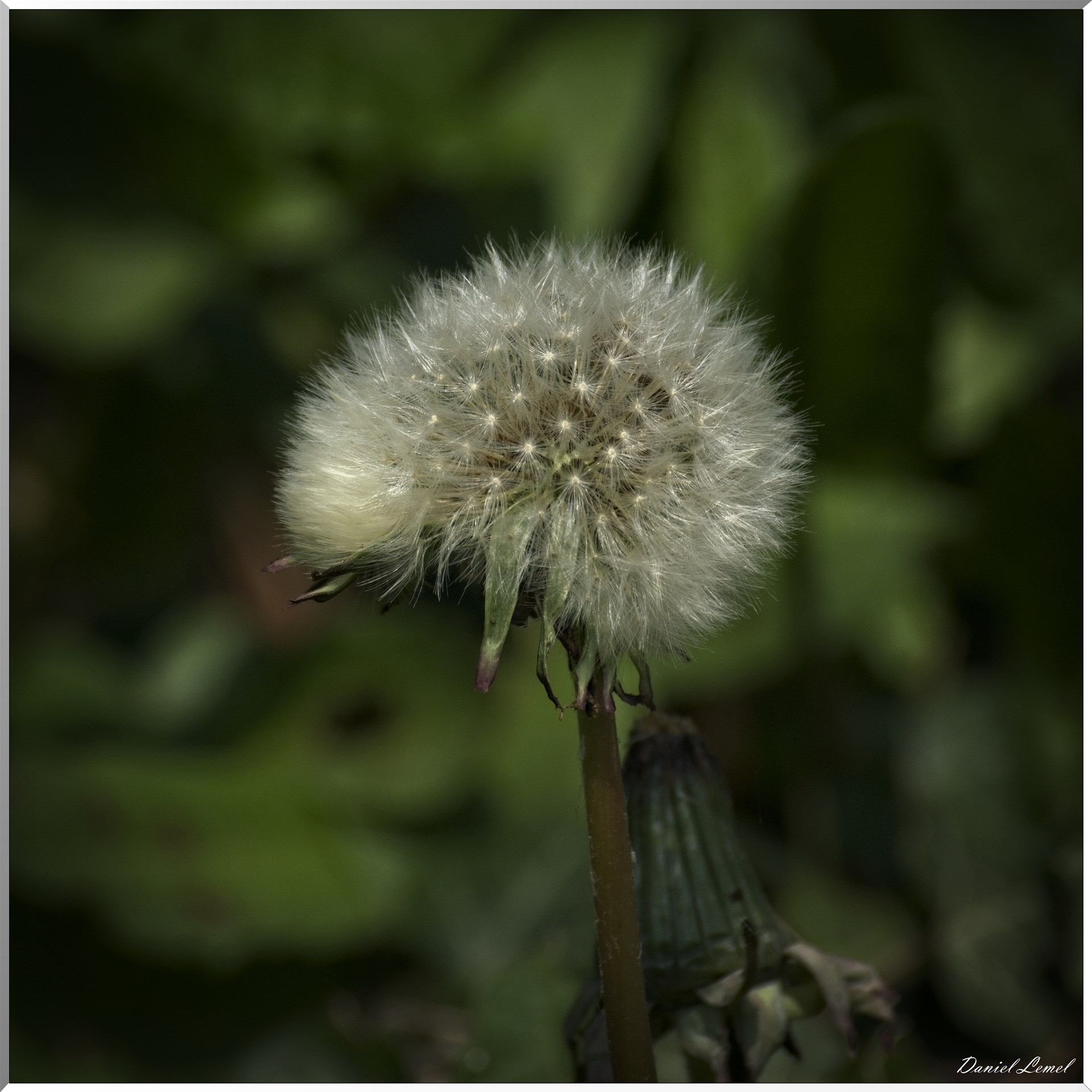 Les côteaux de Saint-Marcel