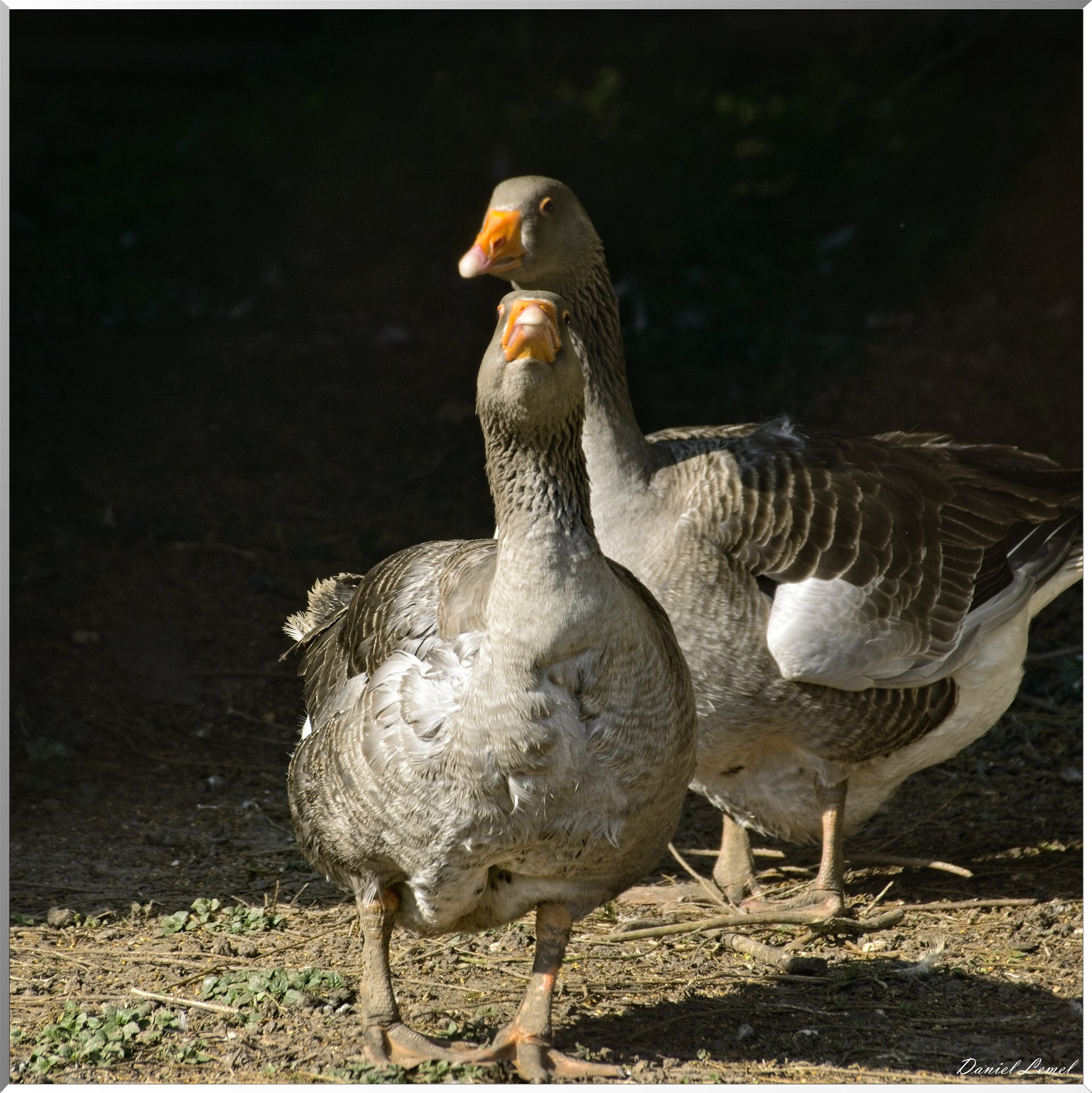 Les côteaux de Saint-Marcel