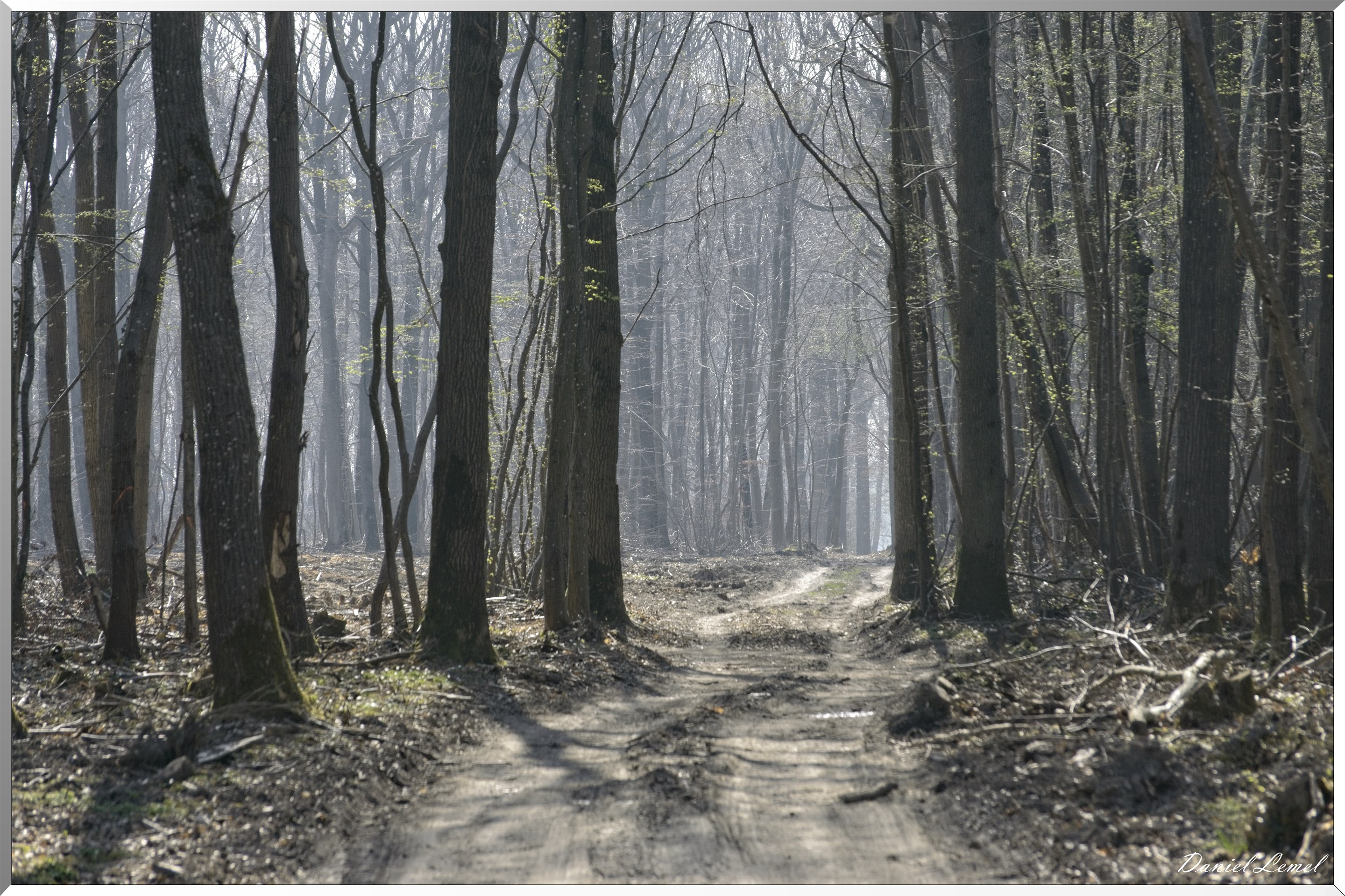 Les côteaux de Saint-Marcel