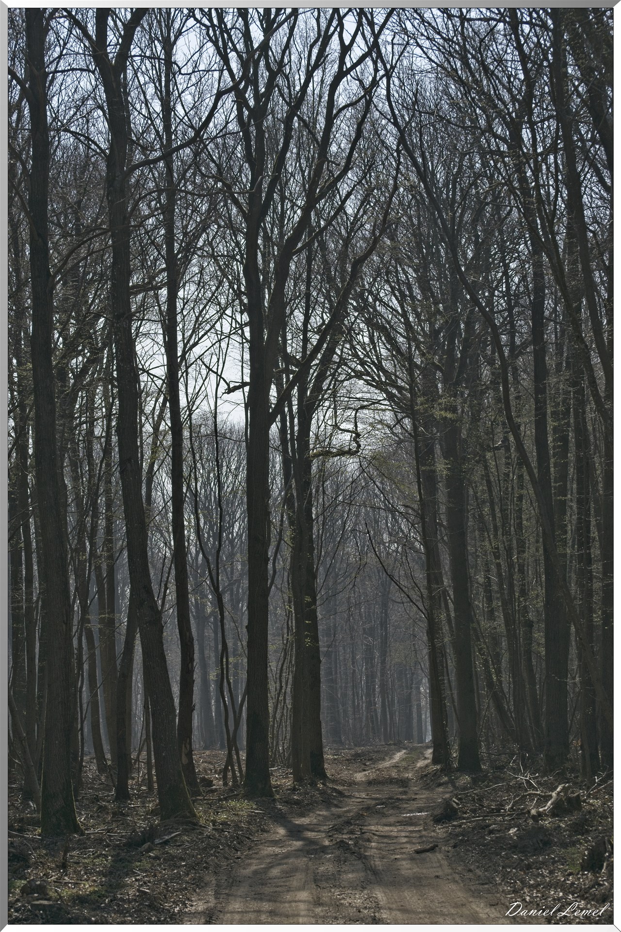 Les côteaux de Saint-Marcel