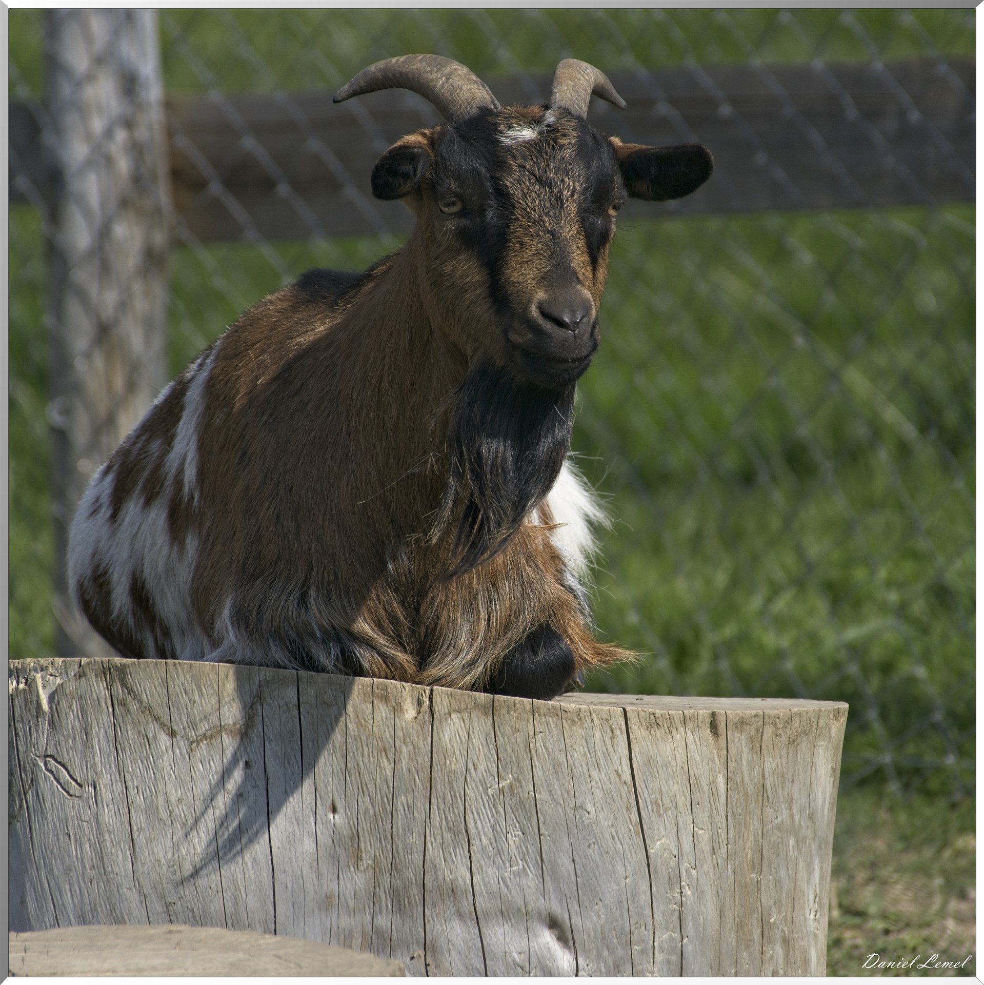 Les côteaux de Saint-Marcel