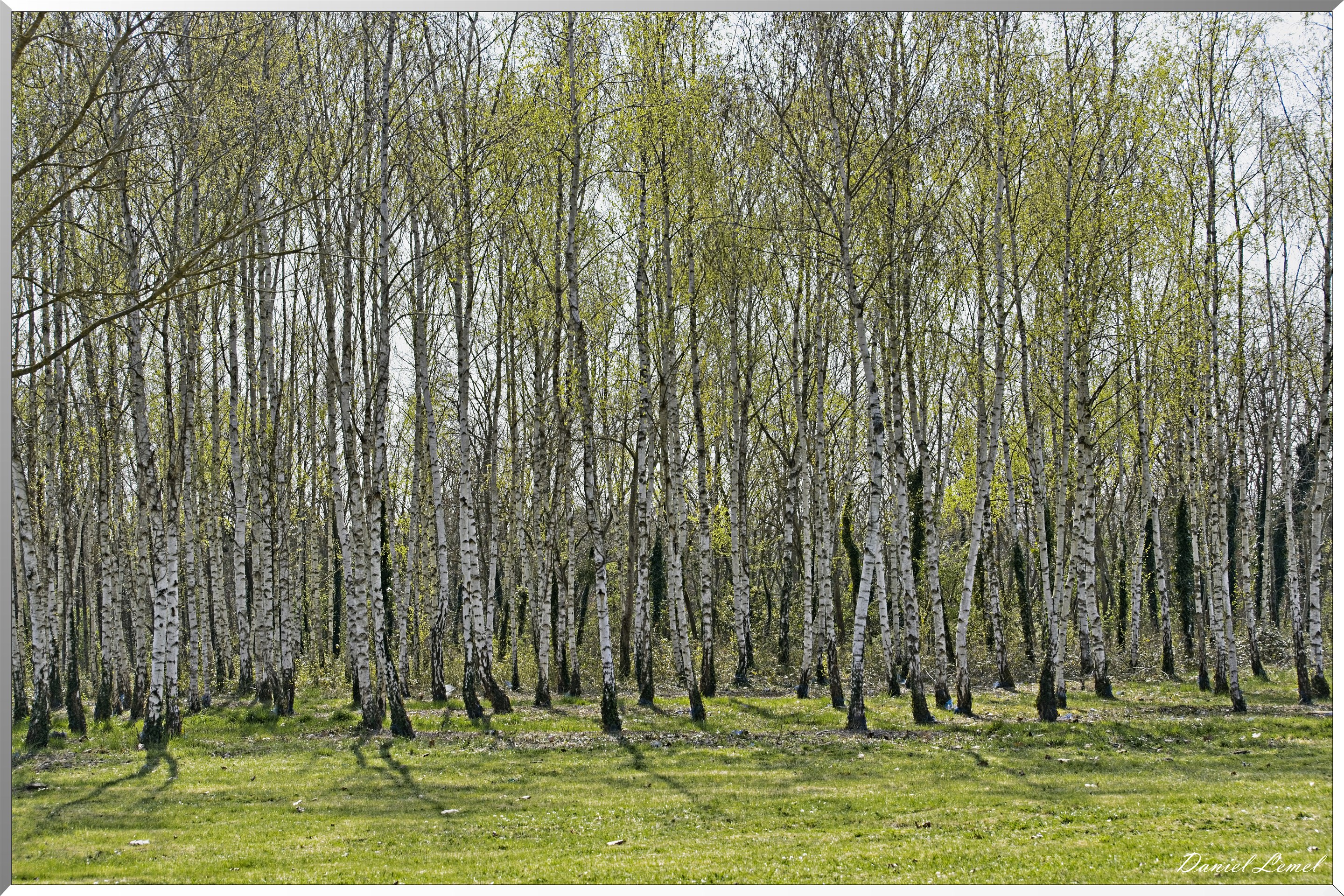 Courcelles-sur-Seine
