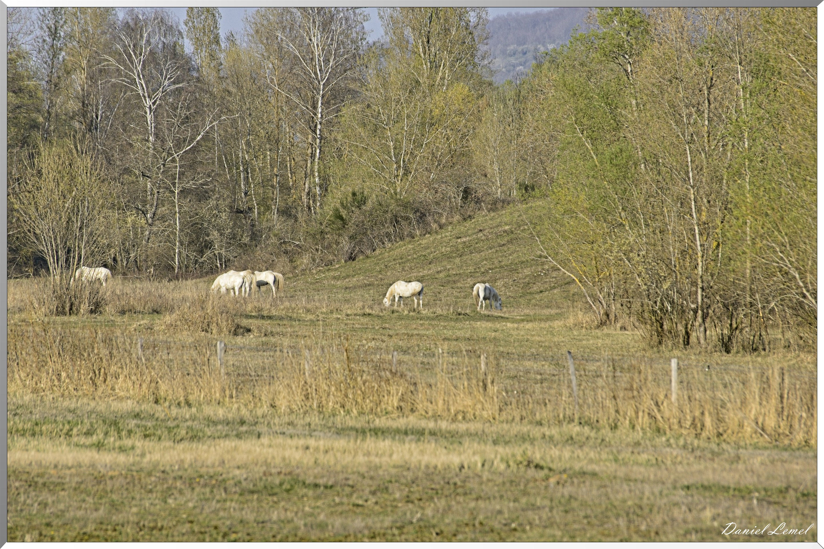 Courcelles-sur-Seine