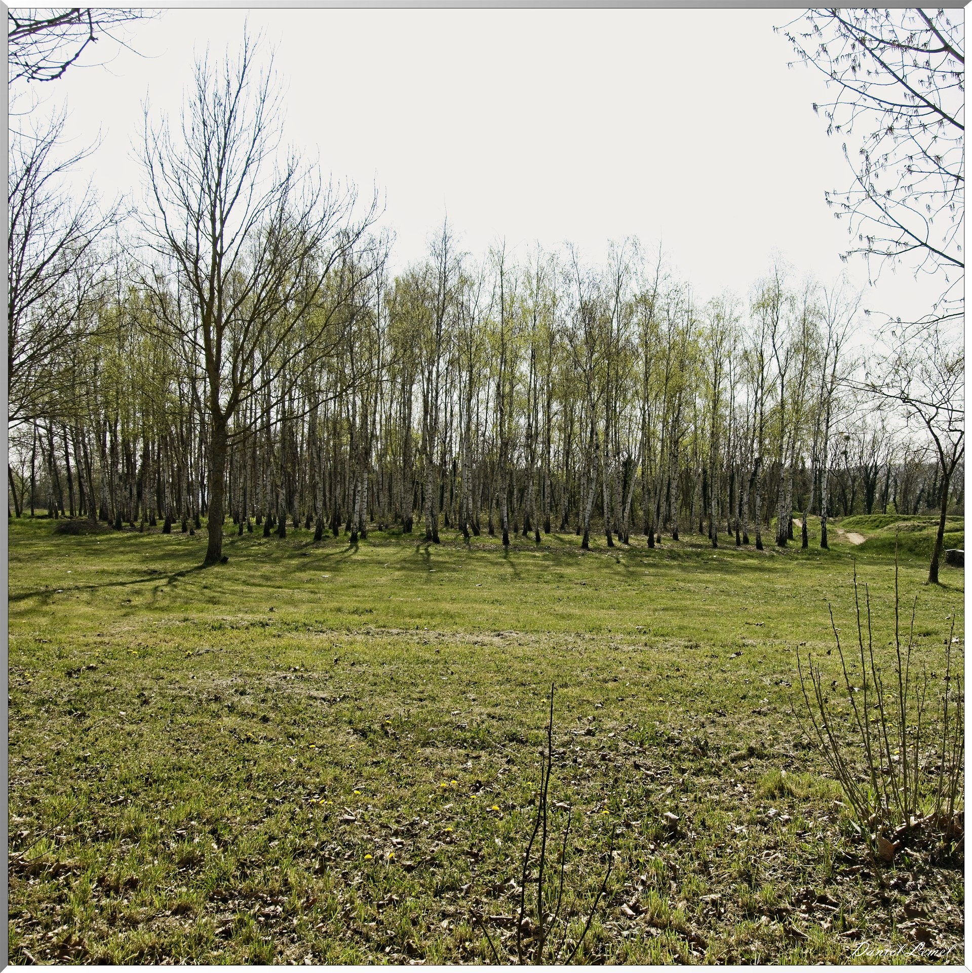 Courcelles-sur-Seine