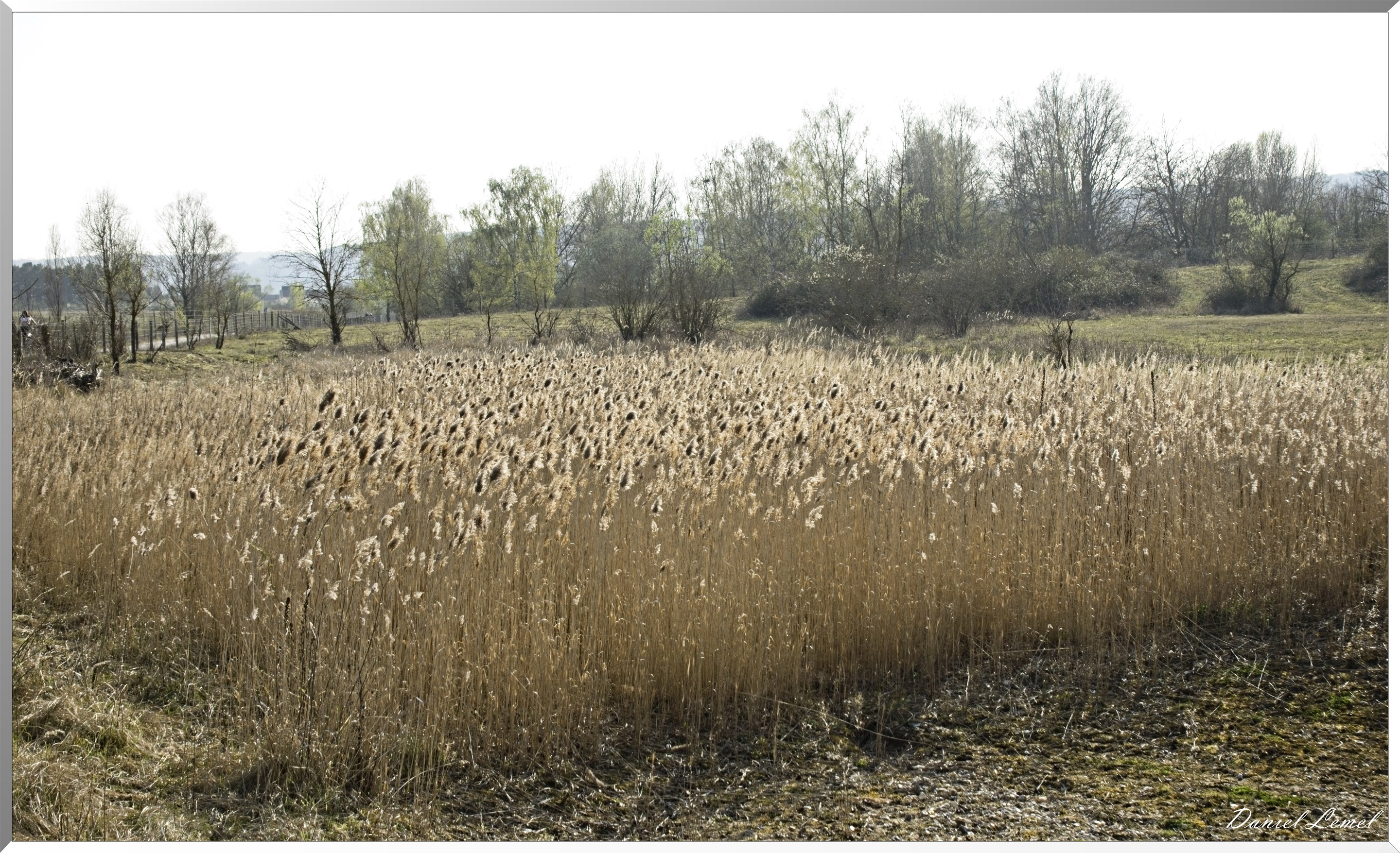 Courcelles-sur-Seine