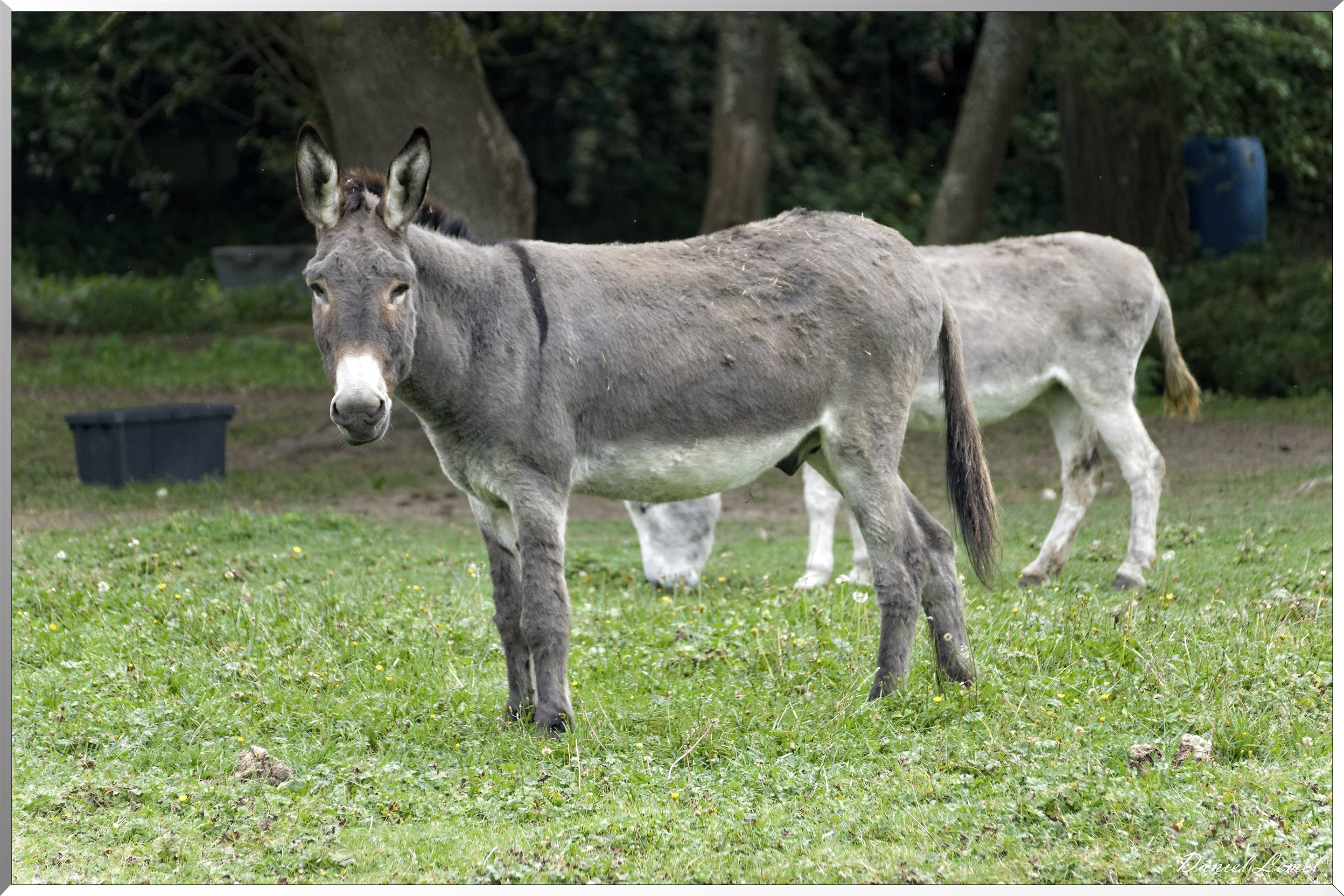 Les coteaux de Giverny