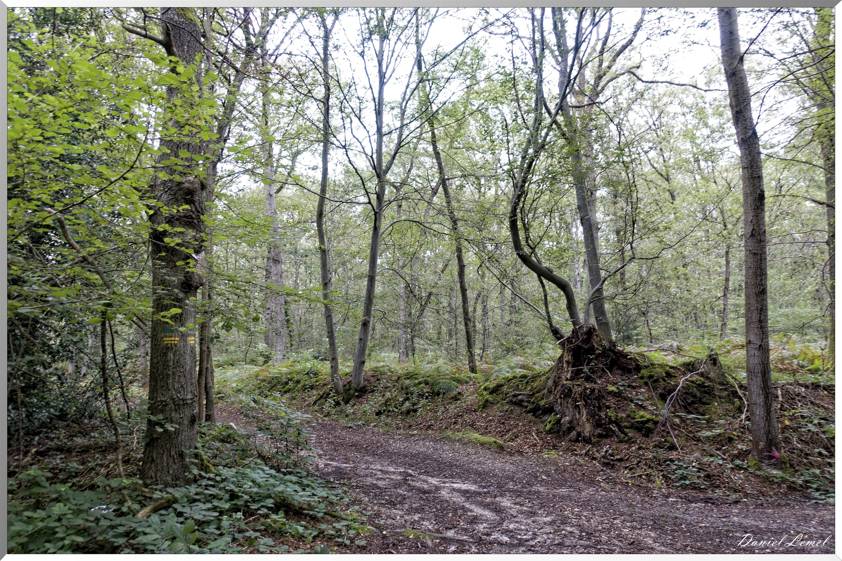 Les coteaux de Giverny