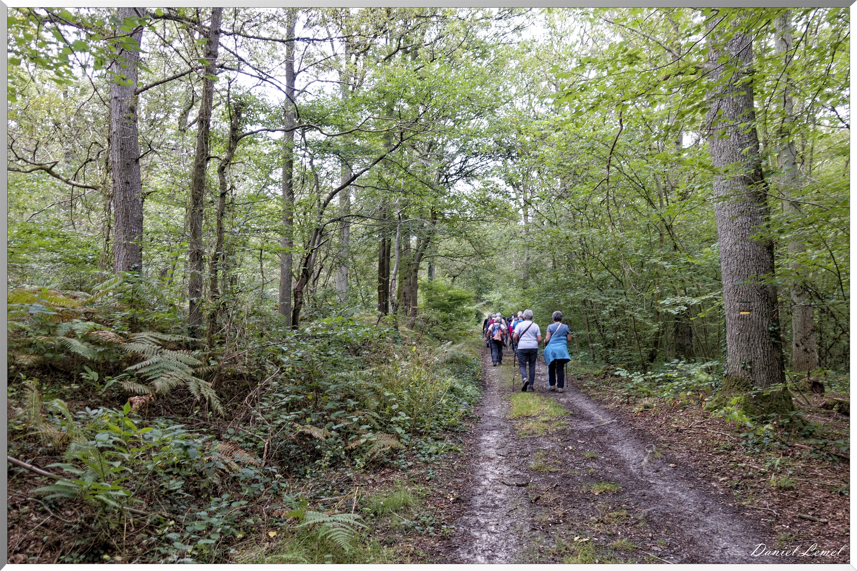 Les coteaux de Giverny