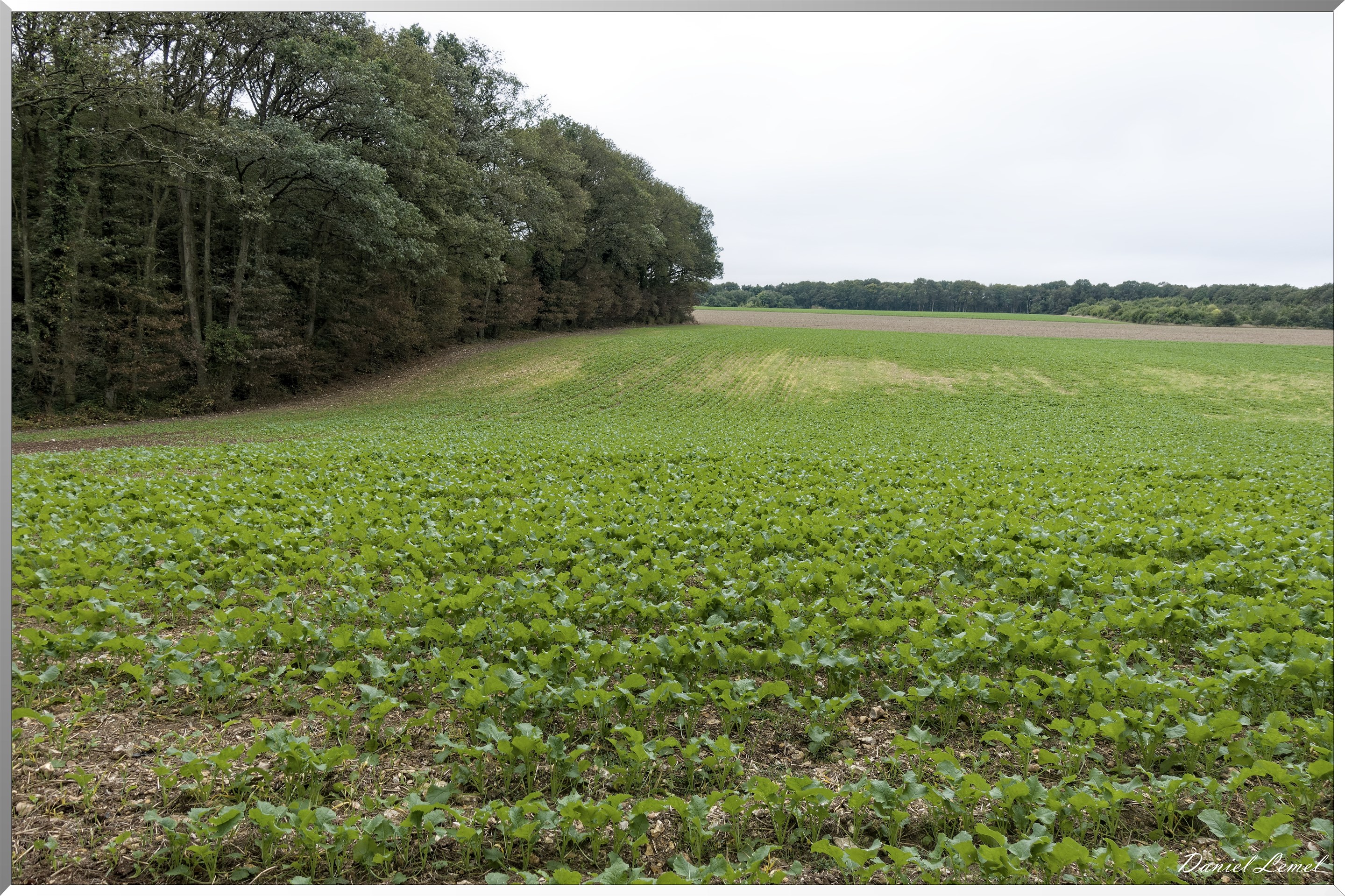 Les coteaux de Giverny