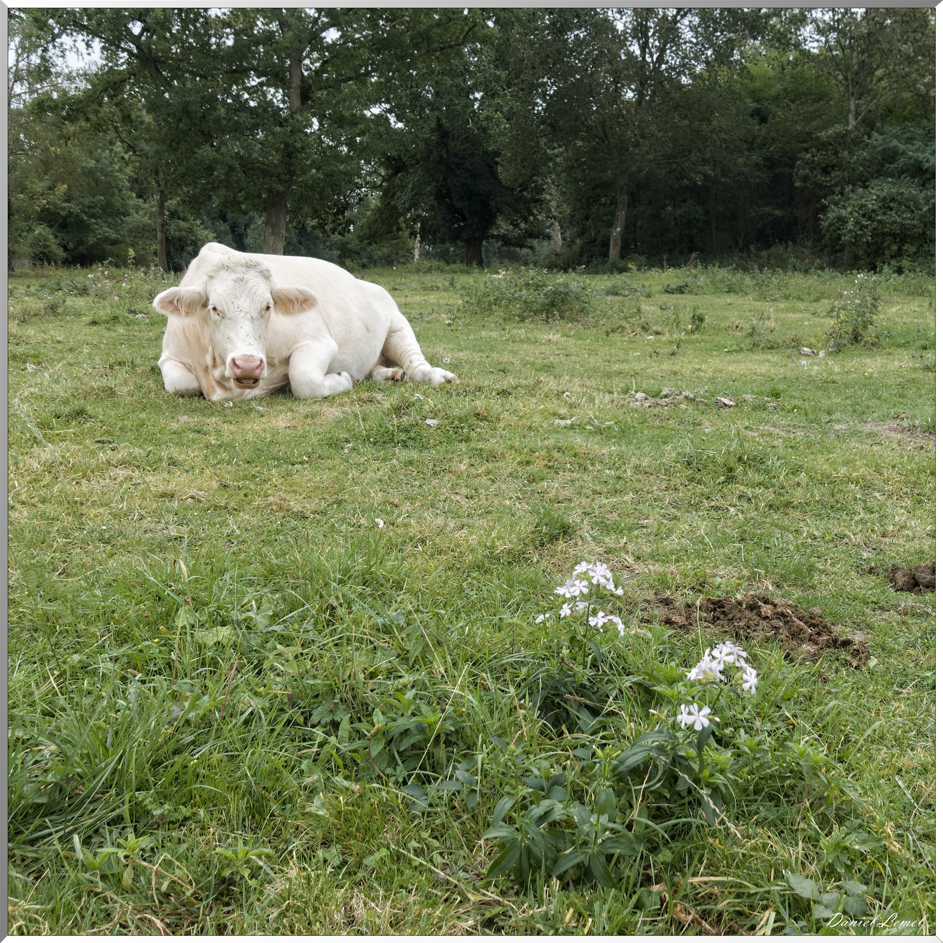 Les coteaux de Giverny