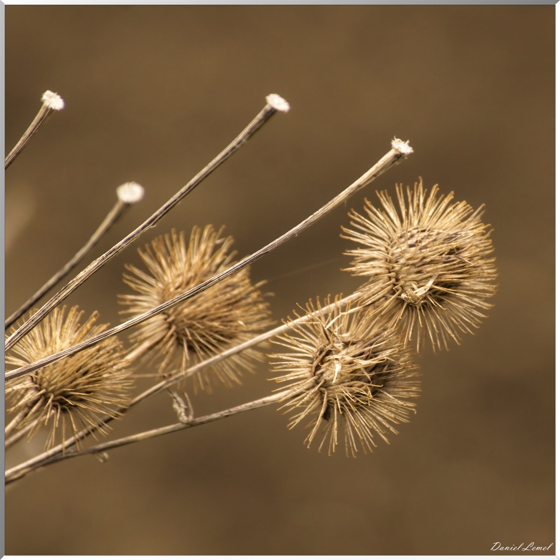 Méricourt - Rolleboise