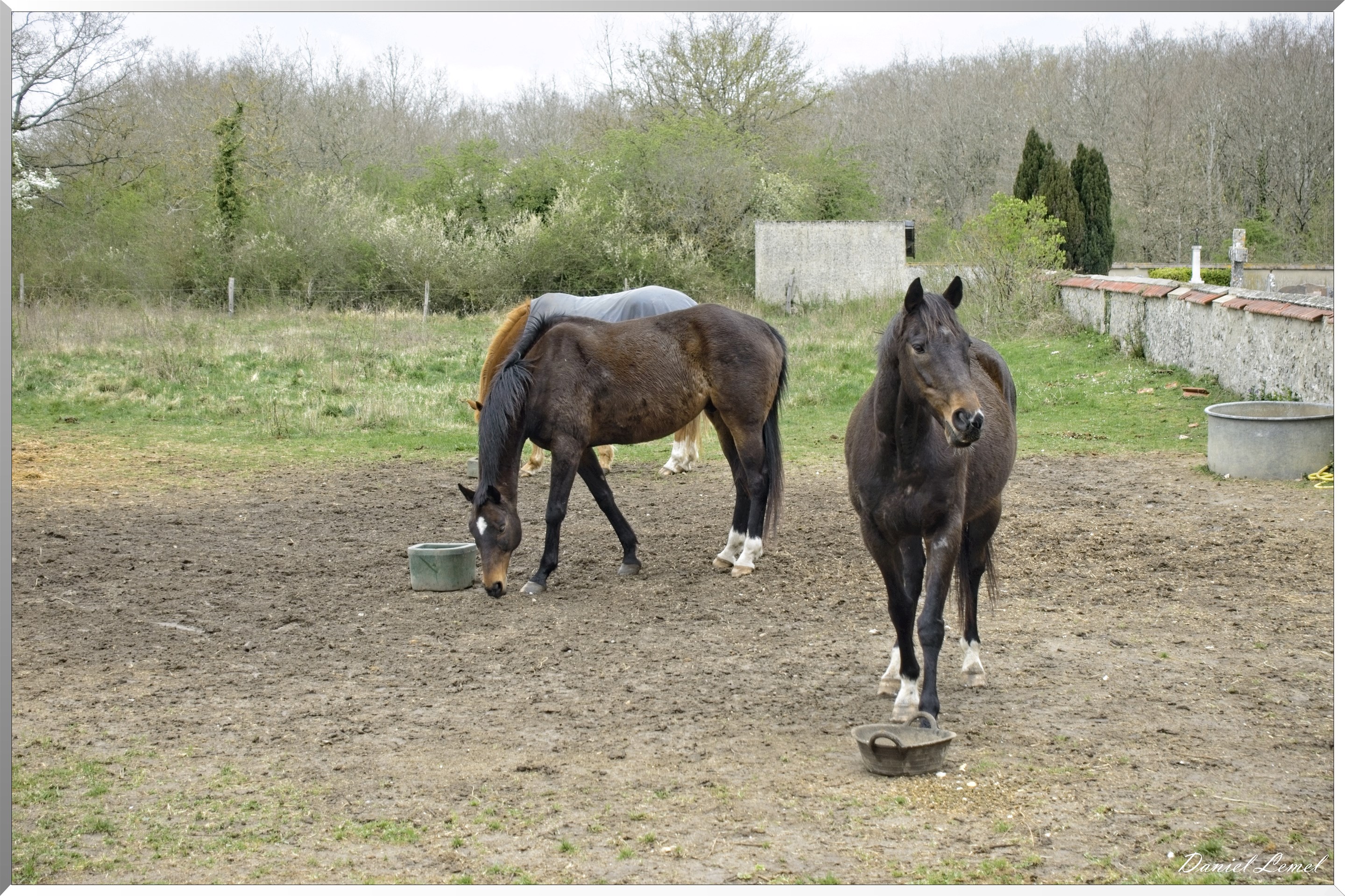 Méricourt - Rolleboise