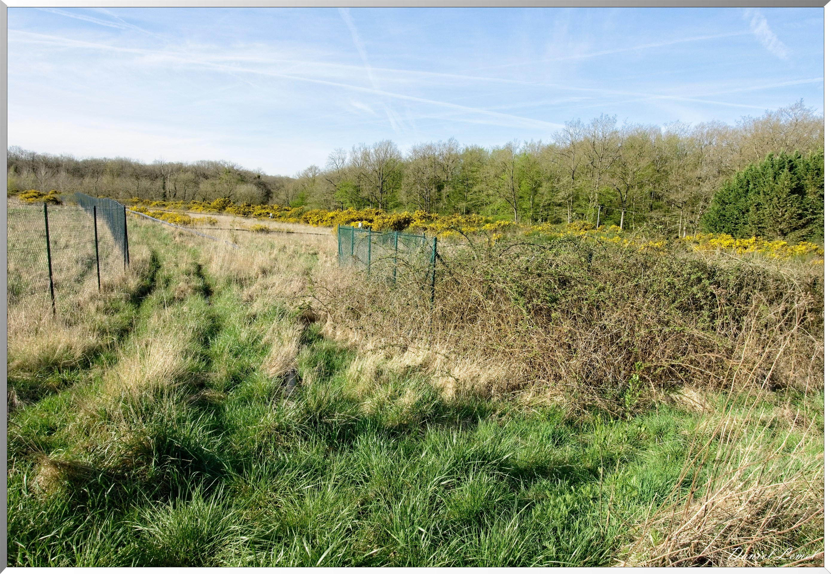 La-Chapelle-Réanville