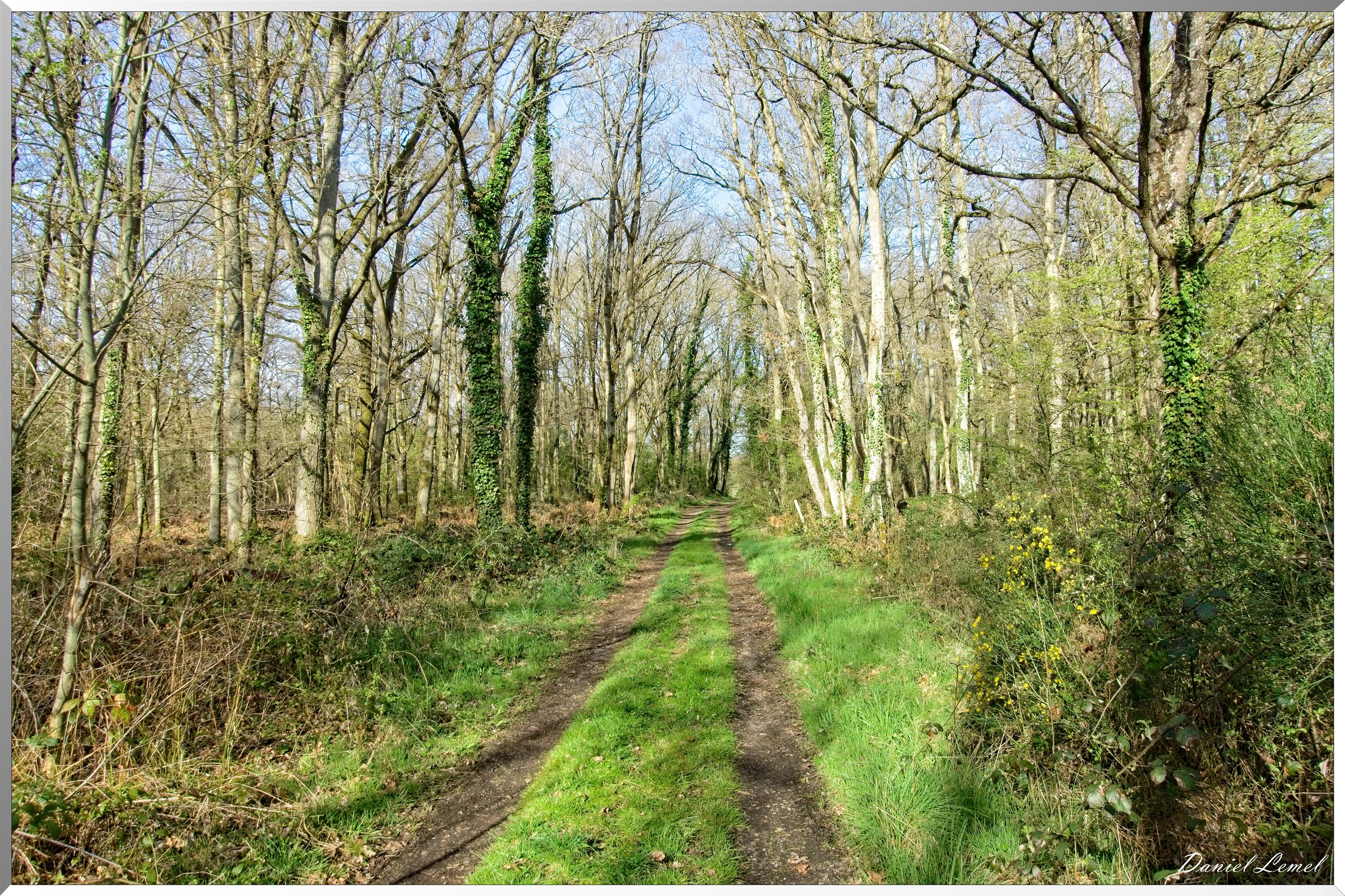 La-Chapelle-Réanville