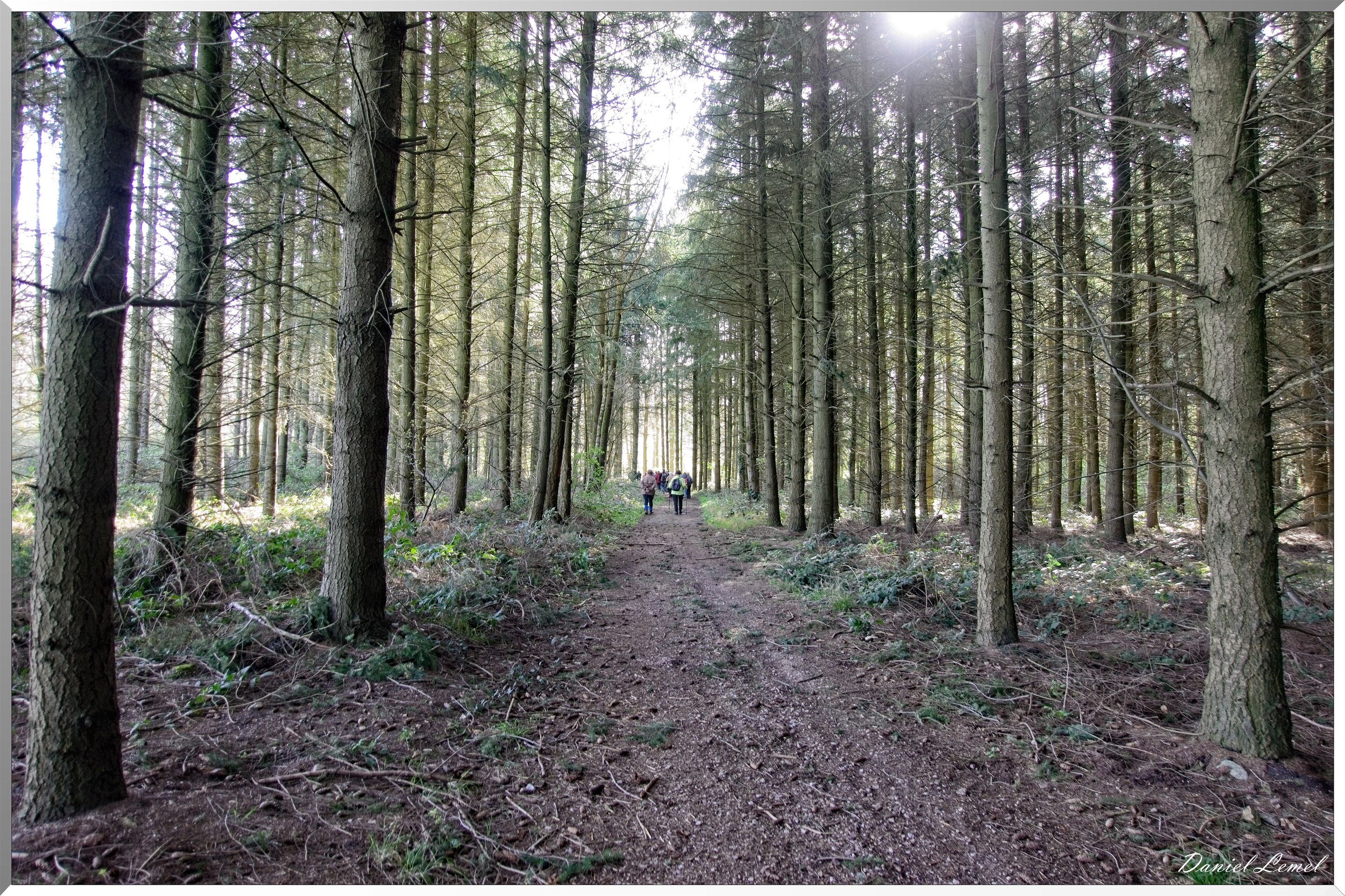 La-Chapelle-Réanville