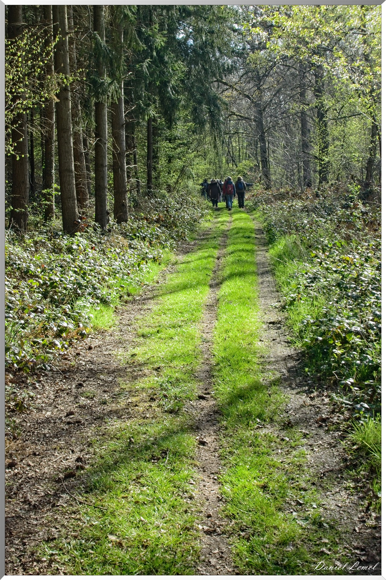 La-Chapelle-Réanville