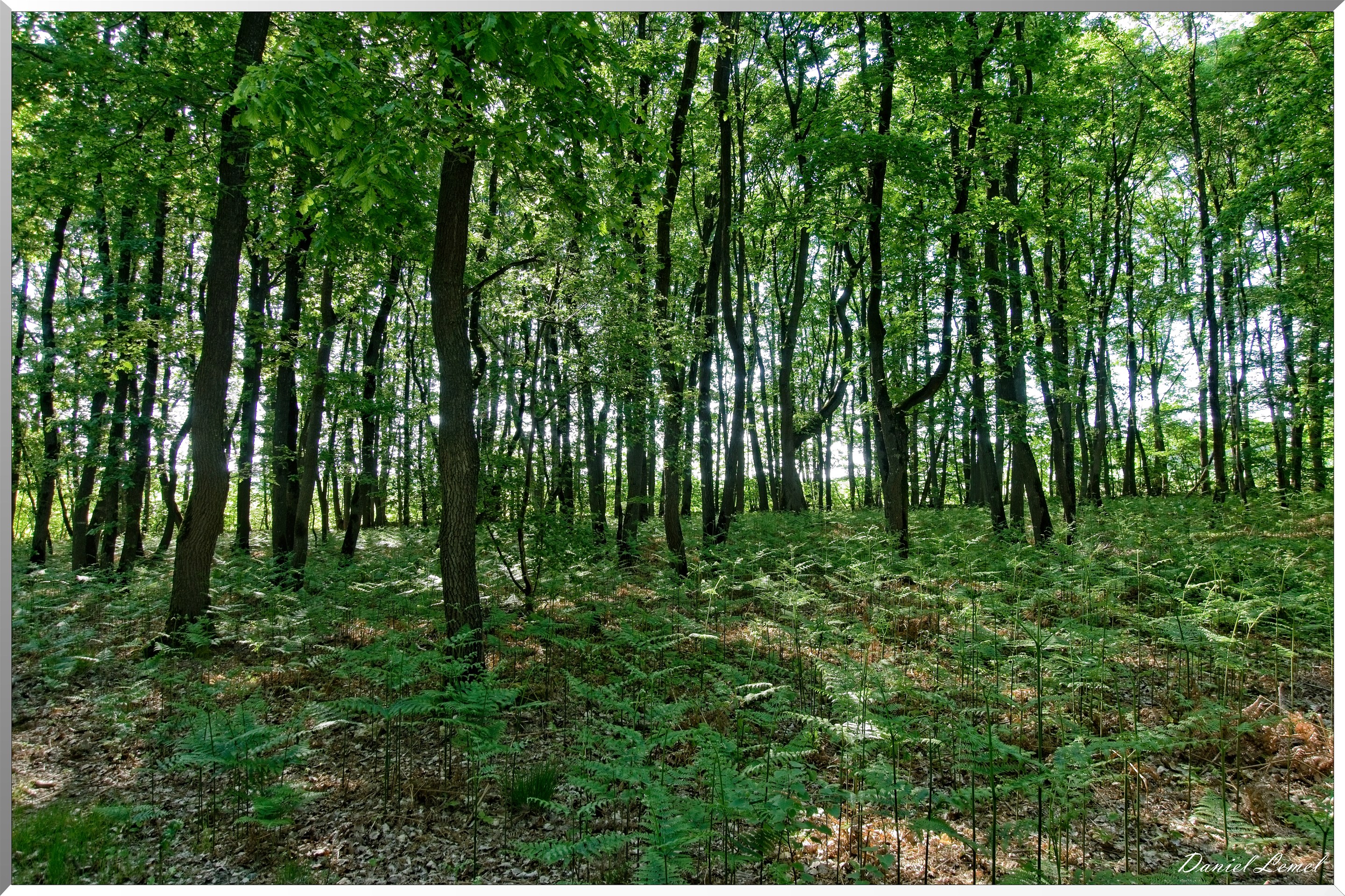 St-Aubin-sur-Gaillon
