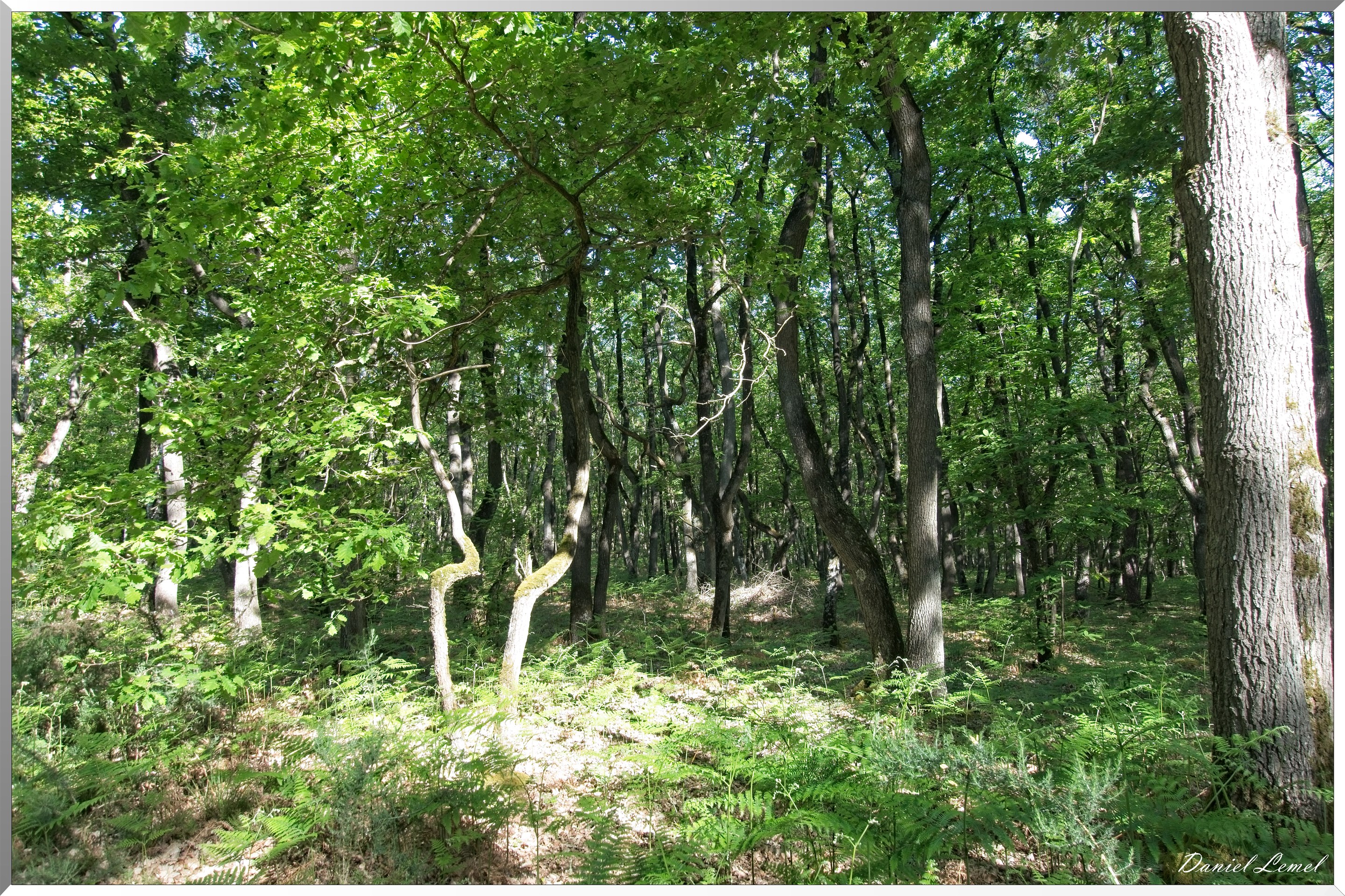 St-Aubin-sur-Gaillon