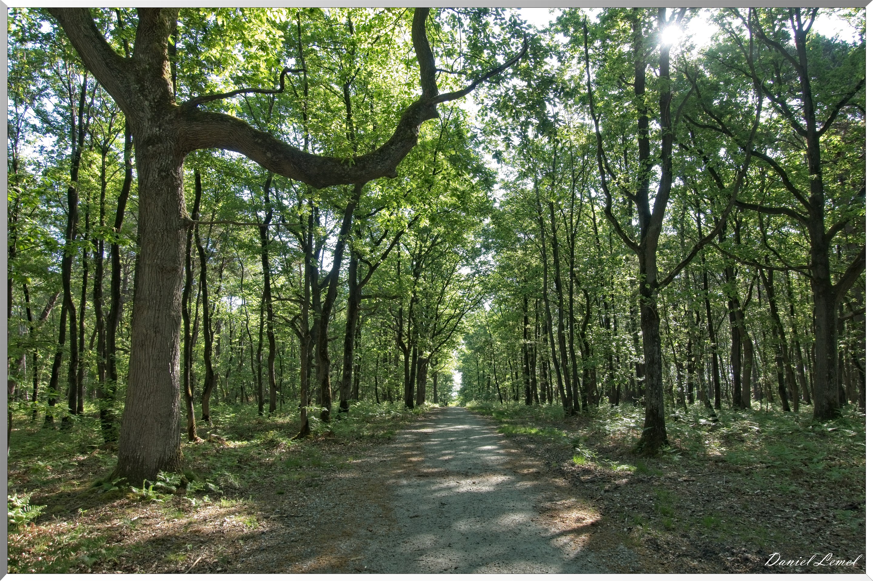 St-Aubin-sur-Gaillon