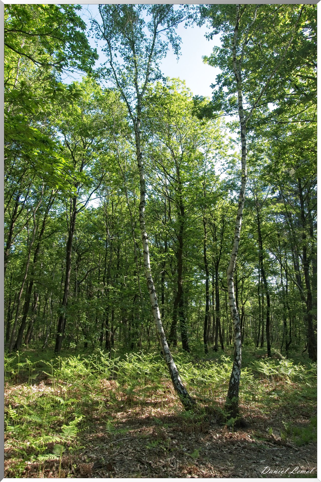 St-Aubin-sur-Gaillon