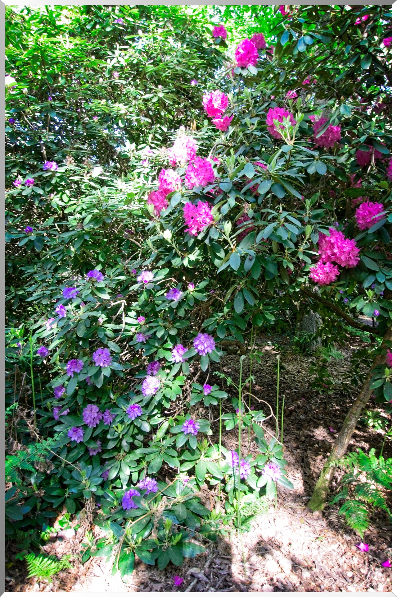 St-Aubin-sur-Gaillon