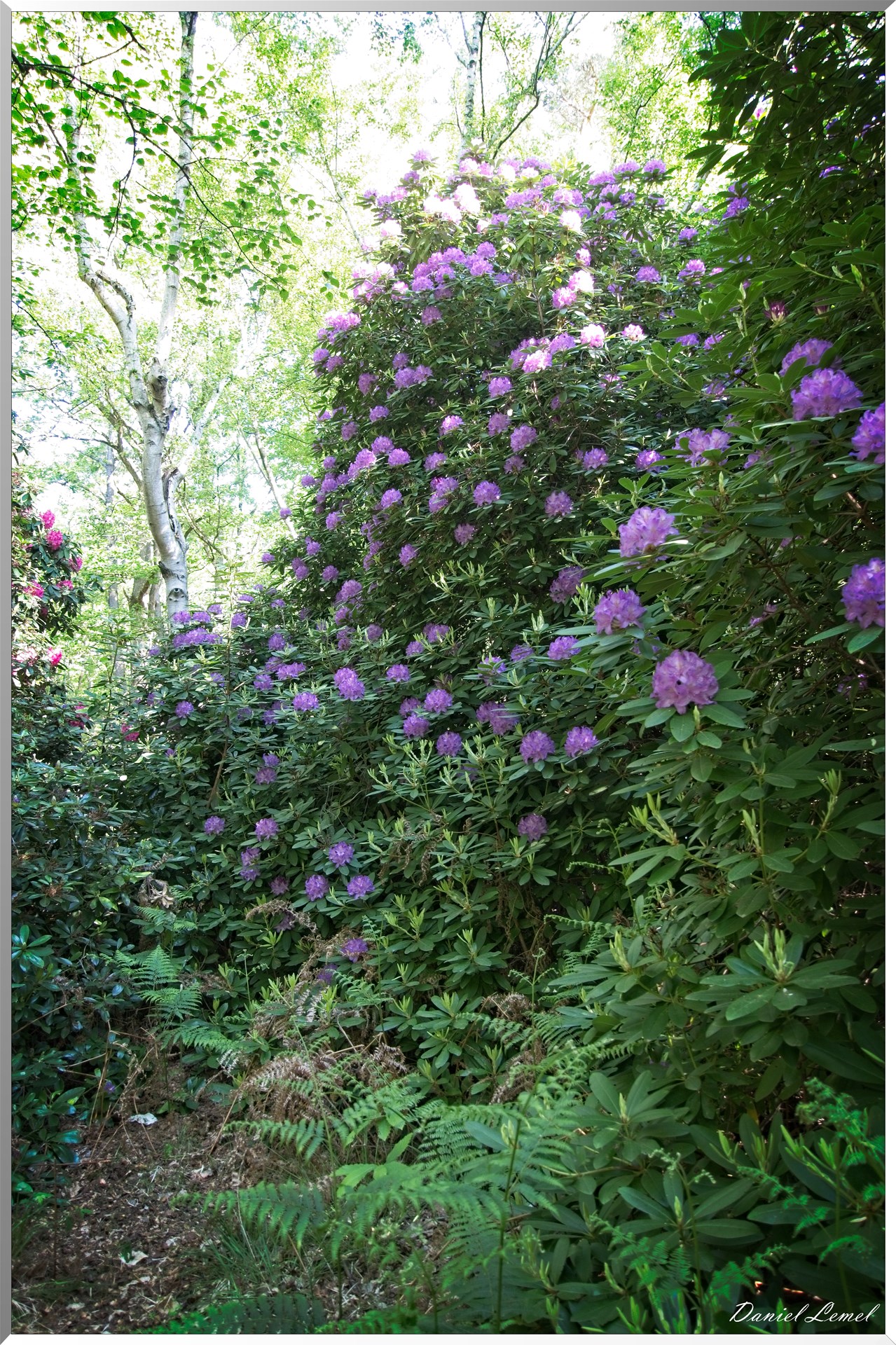 St-Aubin-sur-Gaillon