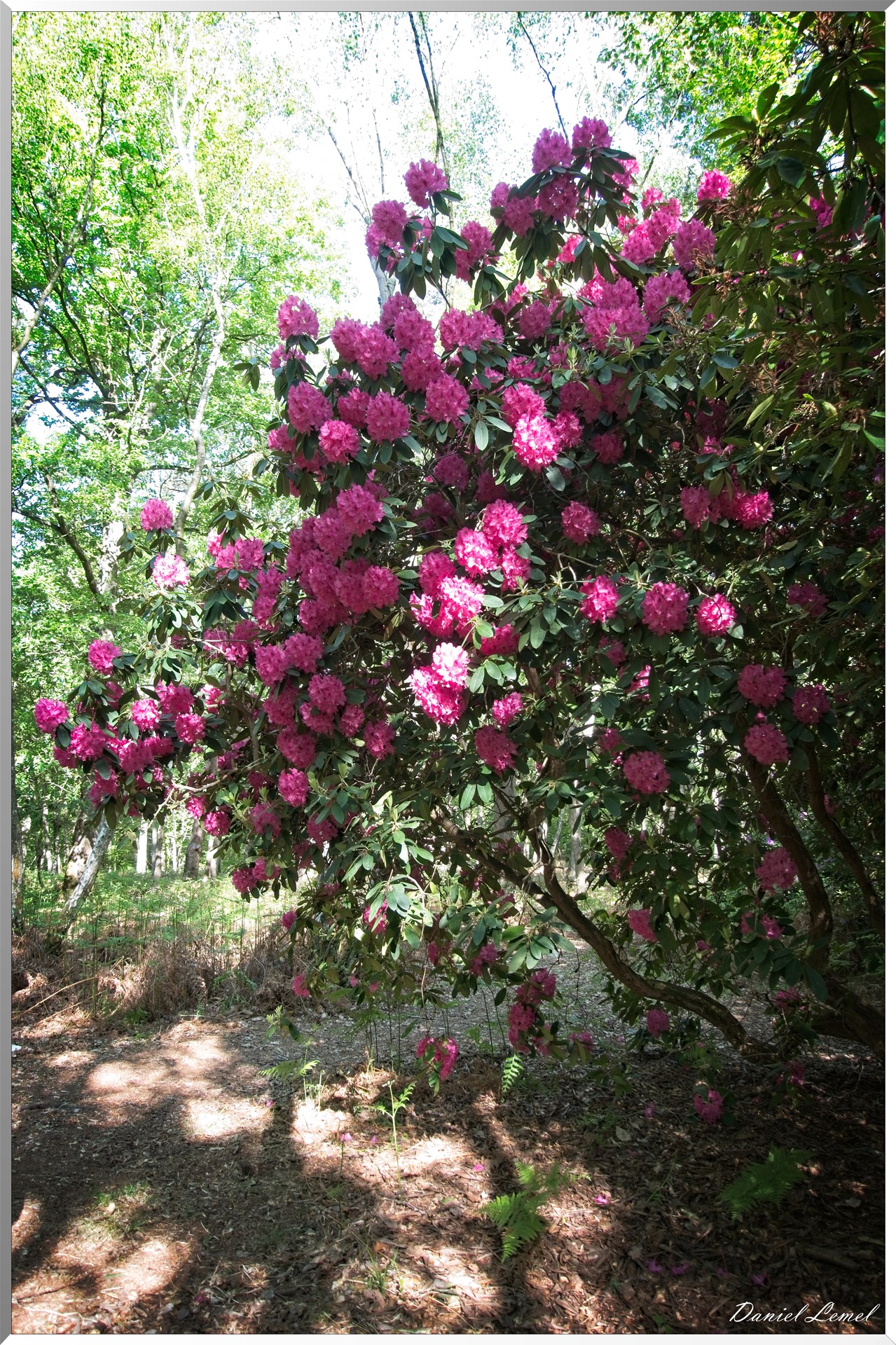 St-Aubin-sur-Gaillon