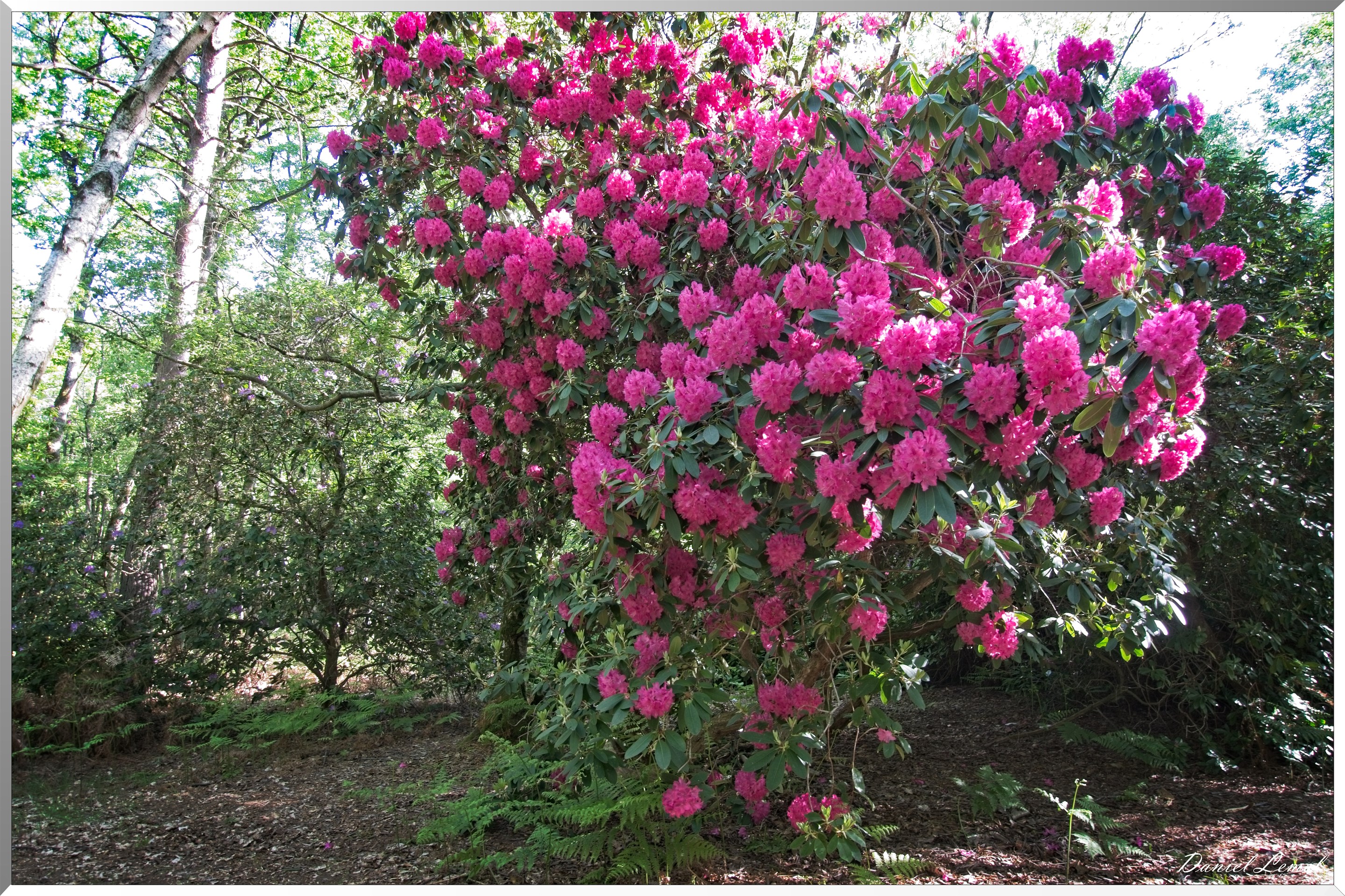 St-Aubin-sur-Gaillon