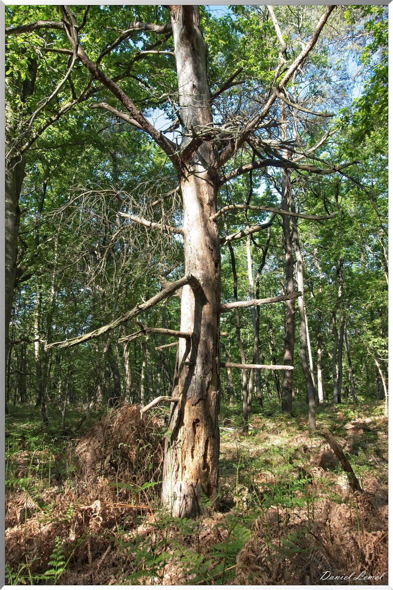 St-Aubin-sur-Gaillon