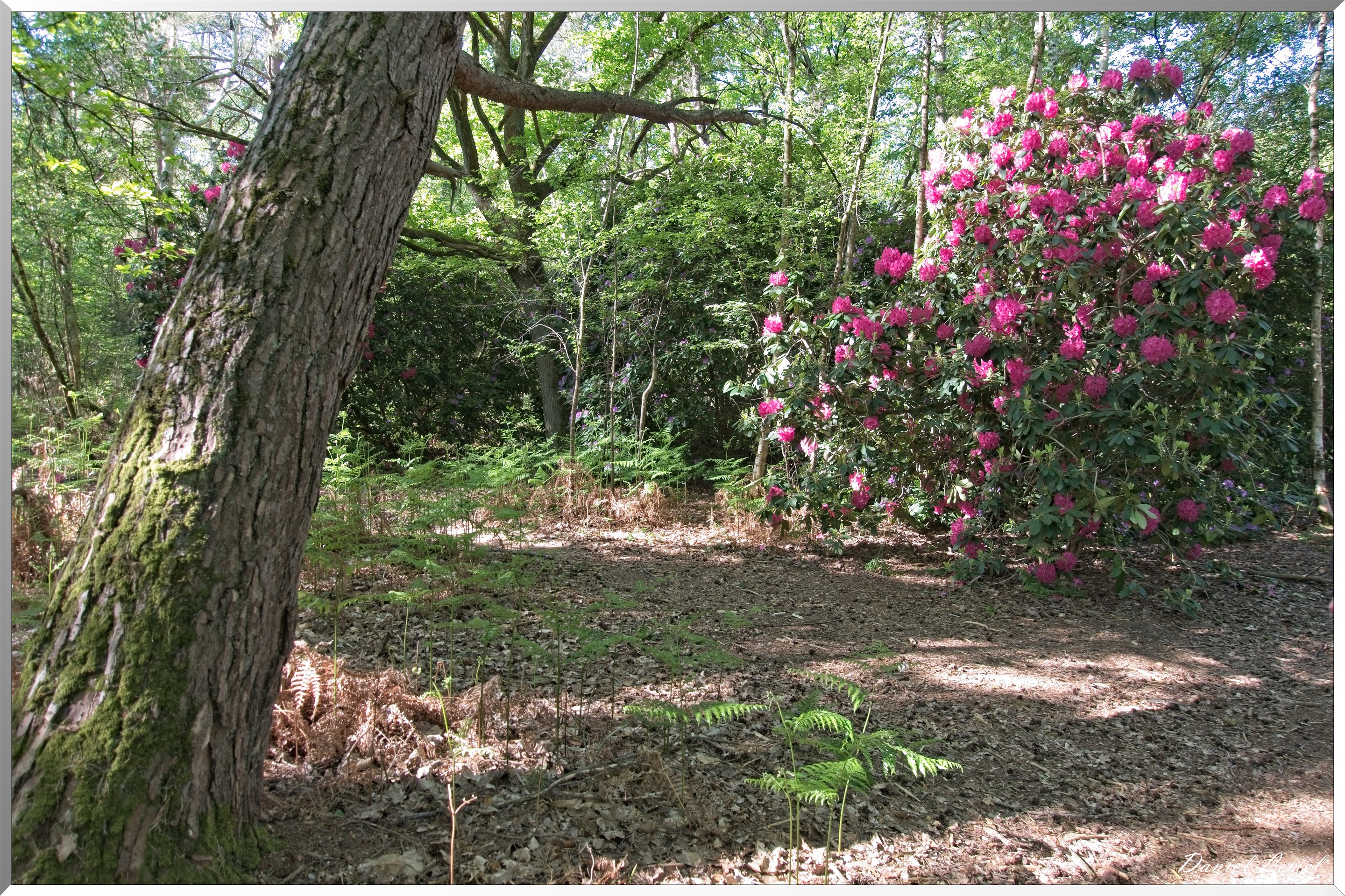 St-Aubin-sur-Gaillon
