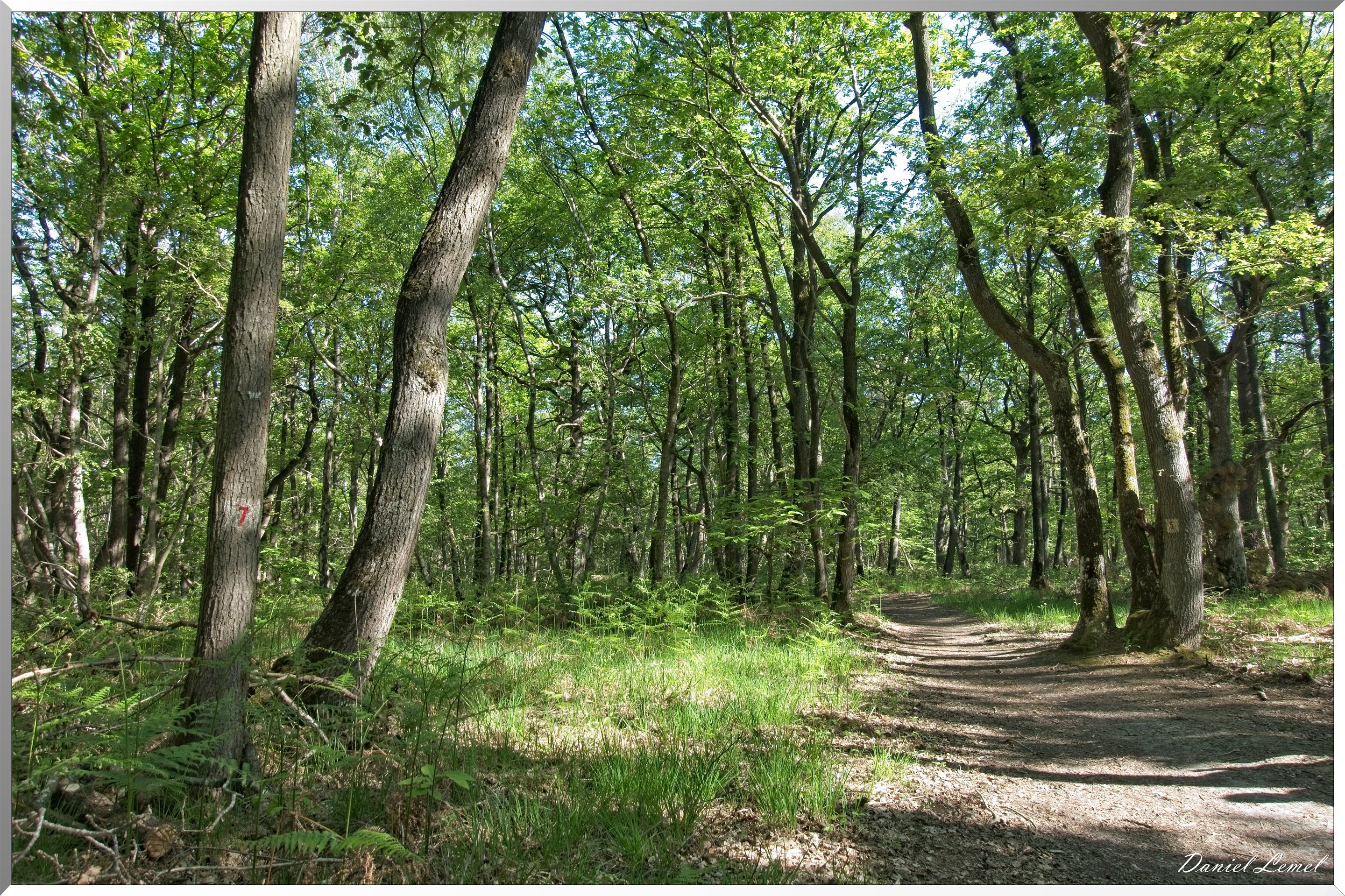 St-Aubin-sur-Gaillon
