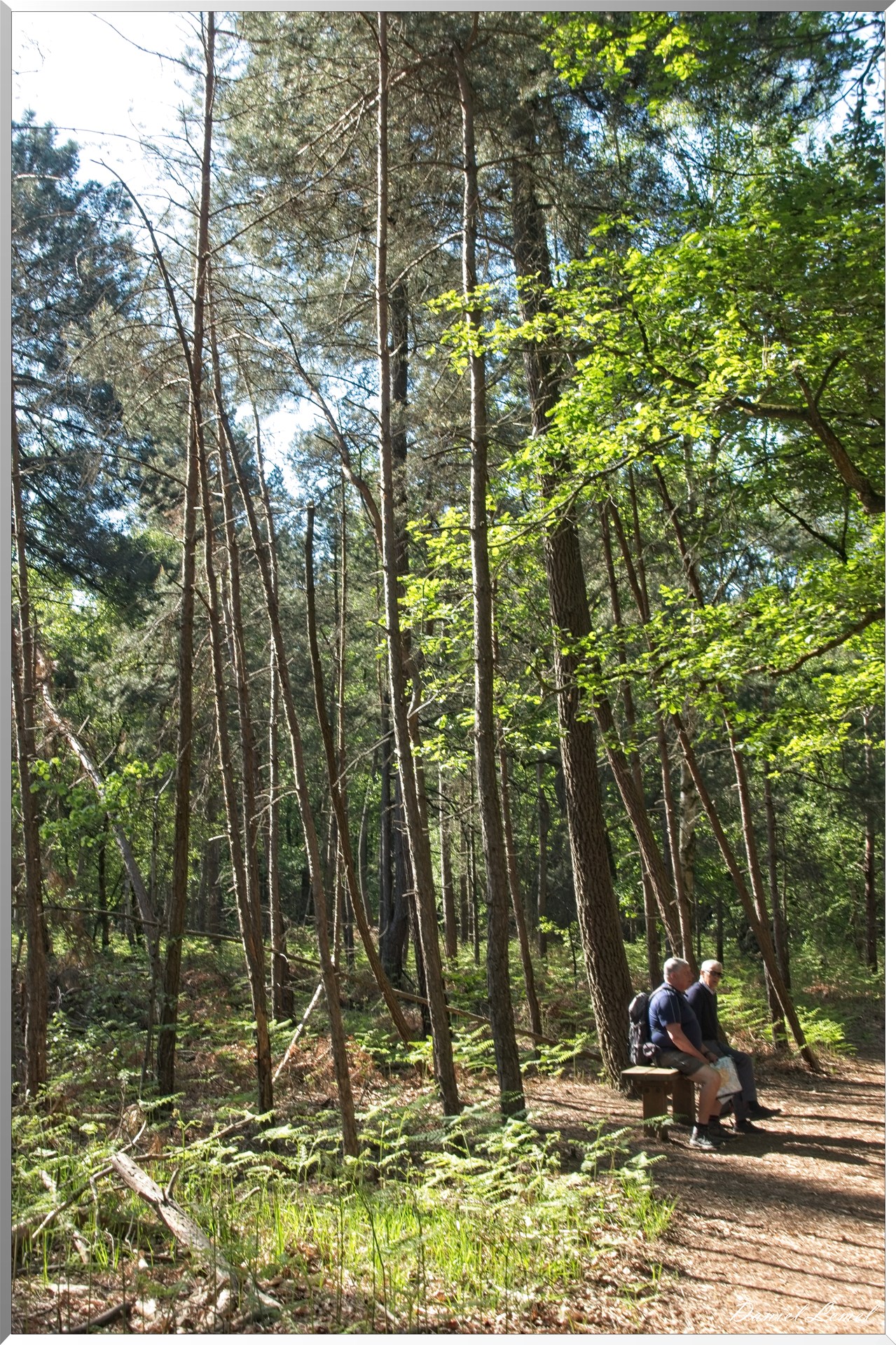 St-Aubin-sur-Gaillon