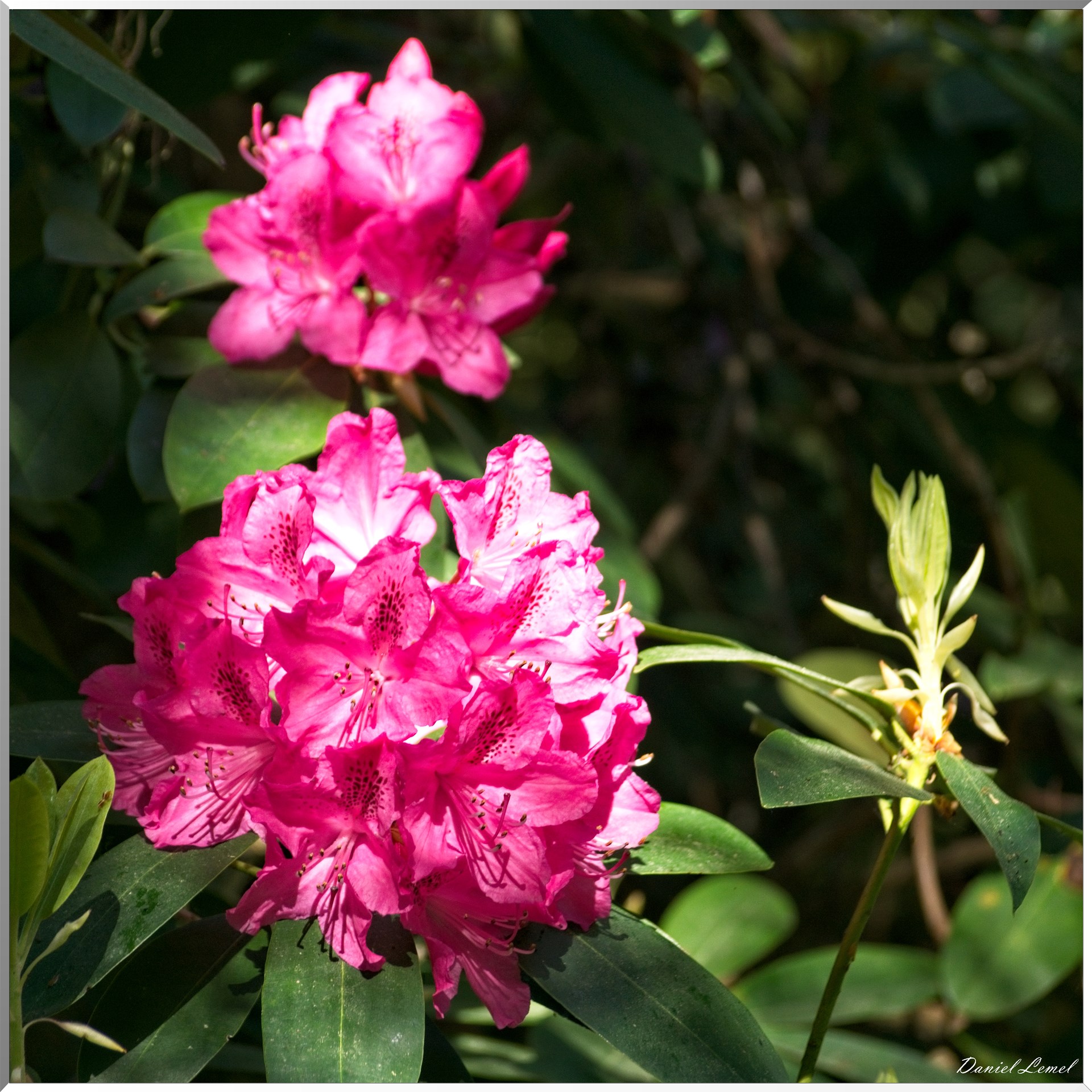 St-Aubin-sur-Gaillon