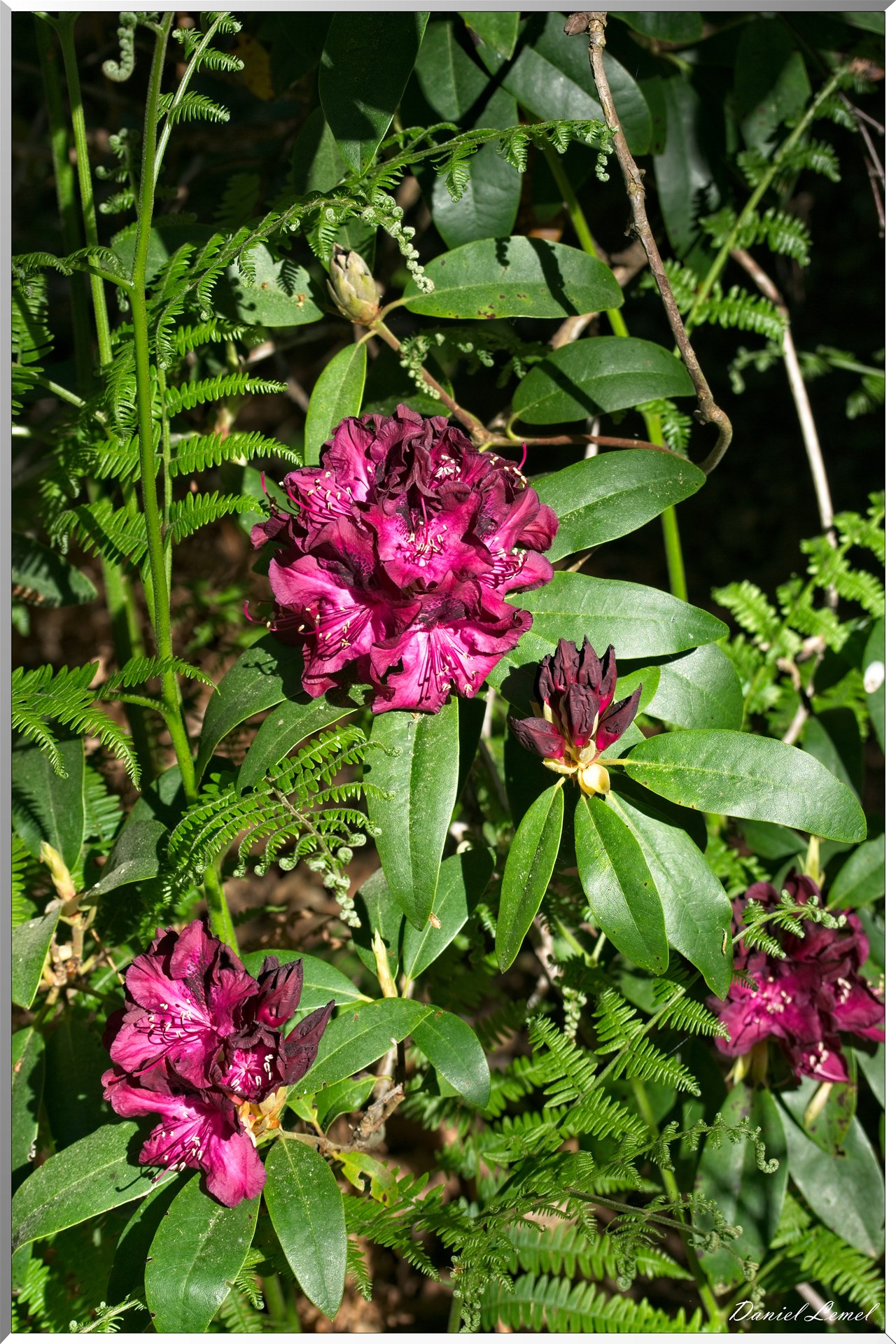 St-Aubin-sur-Gaillon