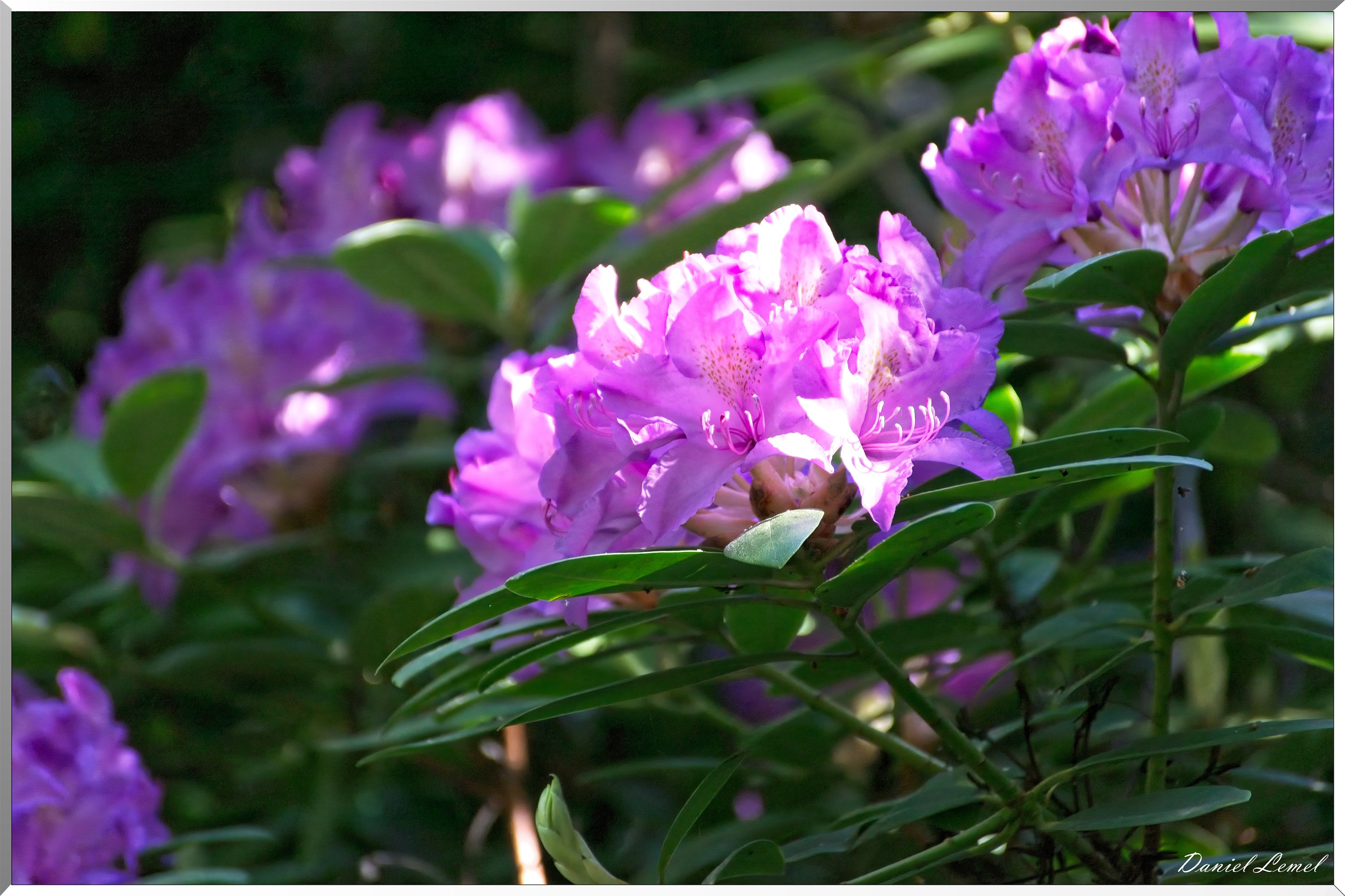 St-Aubin-sur-Gaillon