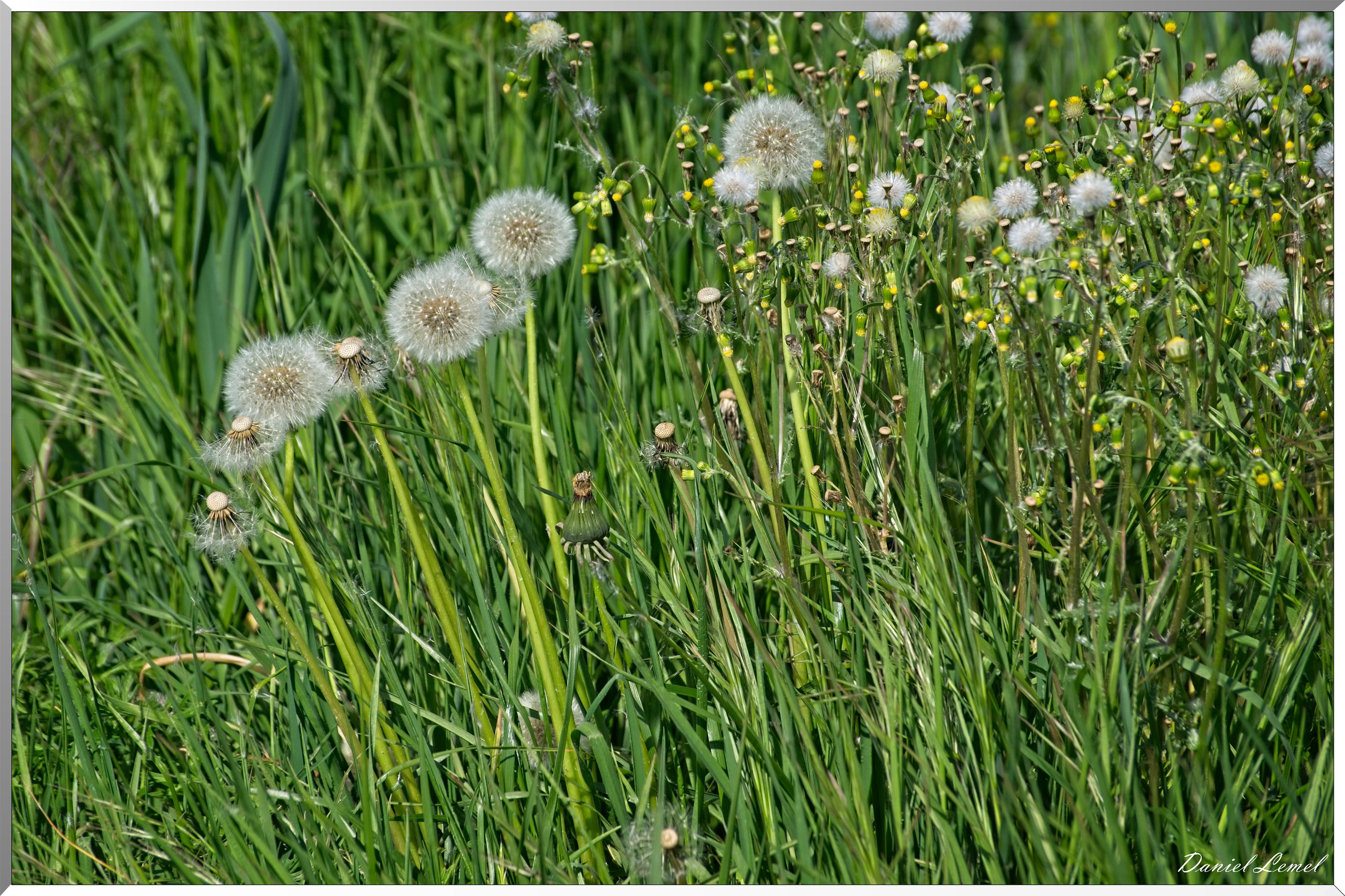 St-Aubin-sur-Gaillon