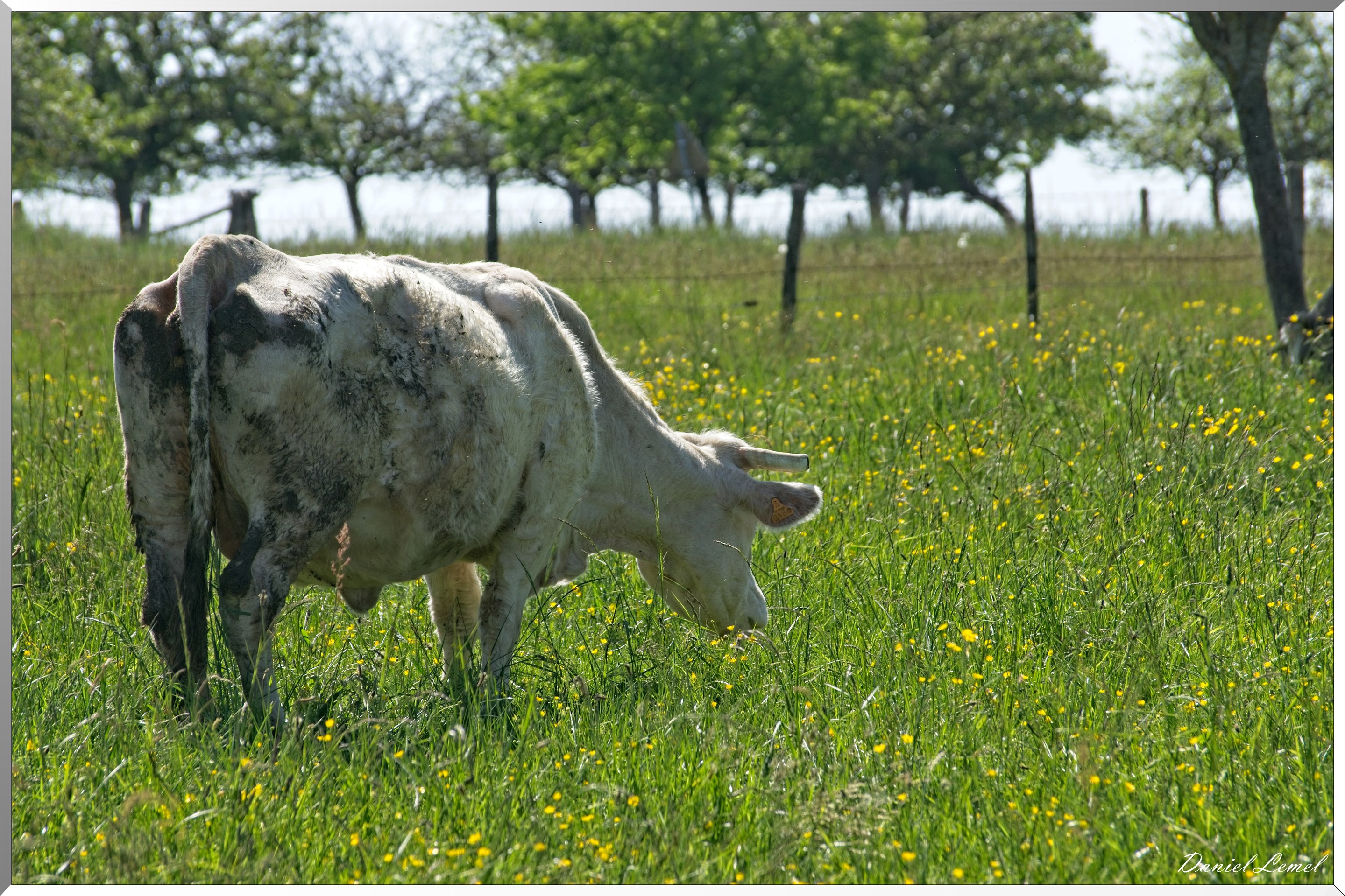 St-Aubin-sur-Gaillon