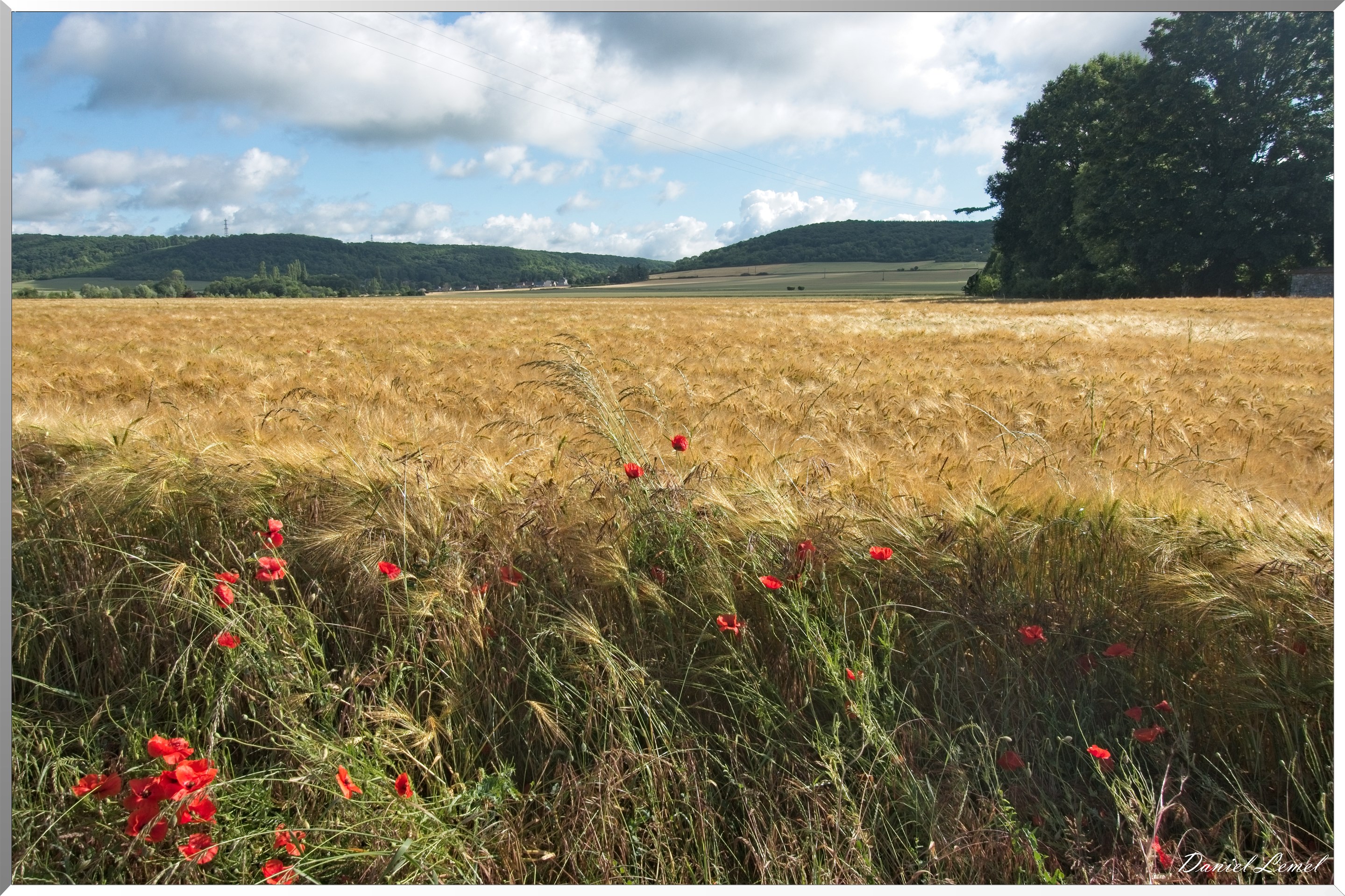 Notre-Dame-de-l'Isle