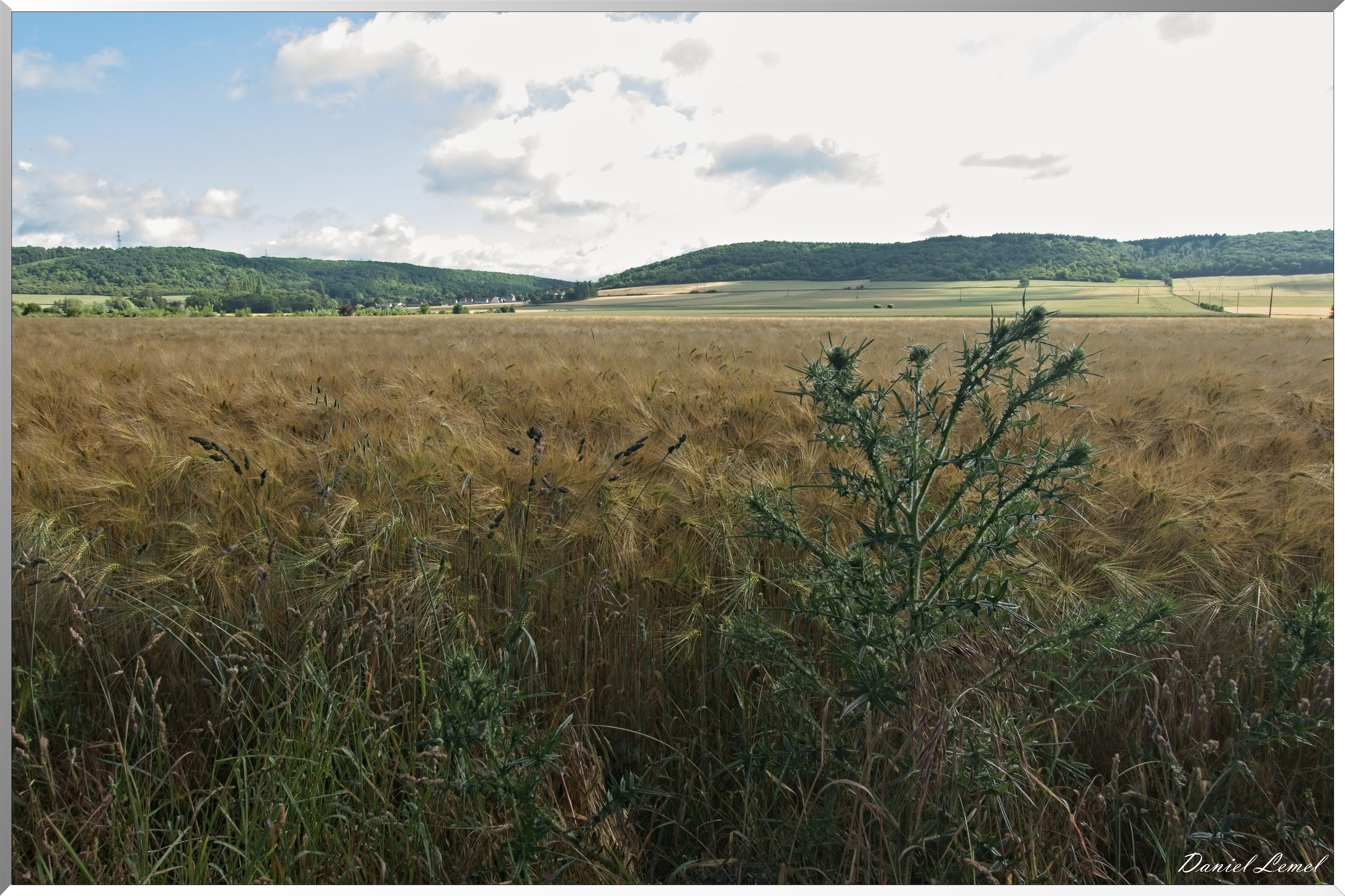 Notre-Dame-de-l'Isle