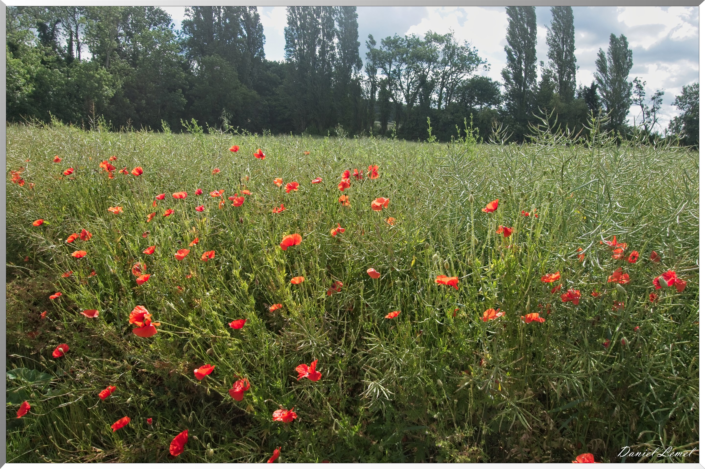 Notre-Dame-de-l'Isle