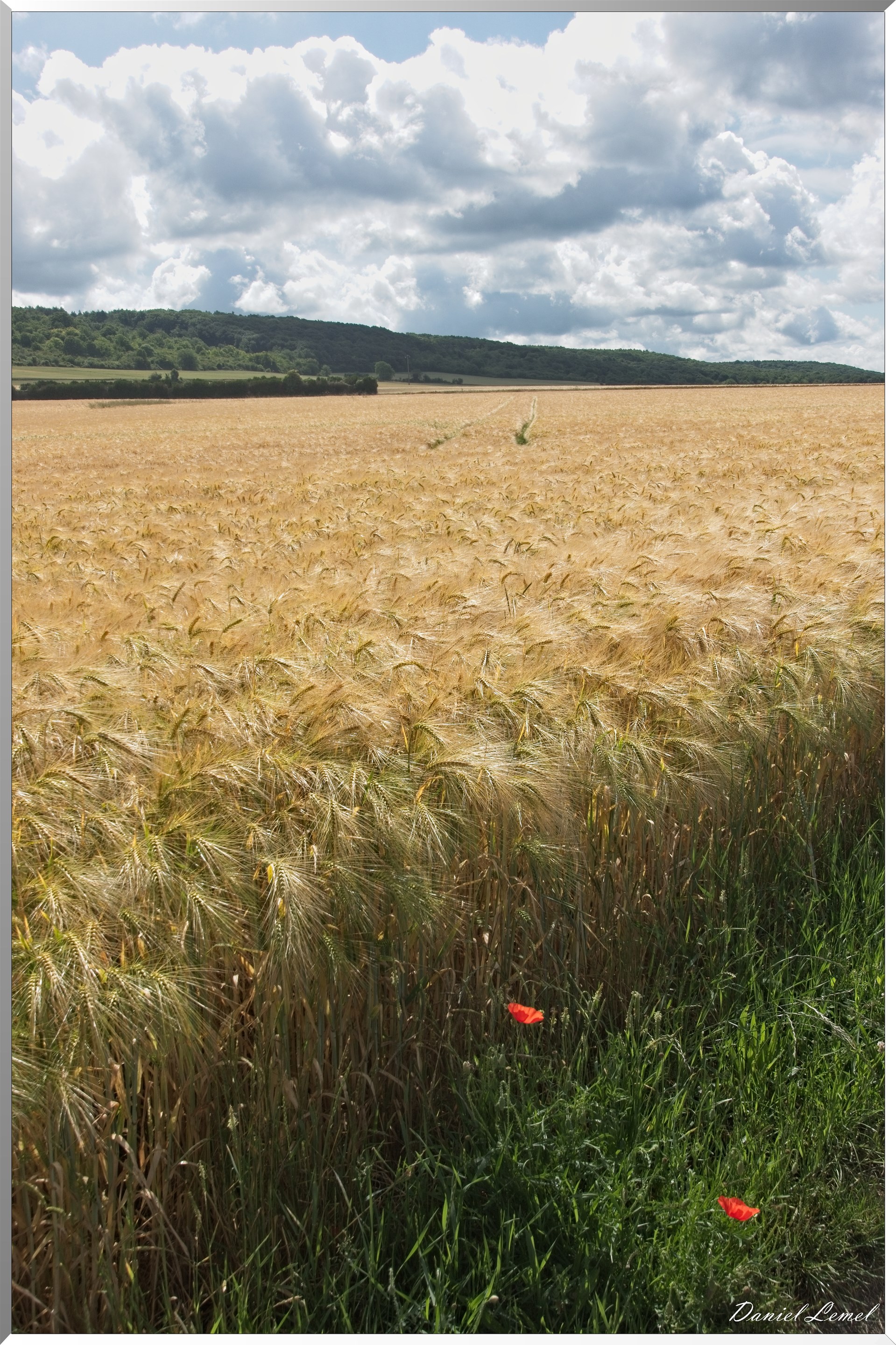 Notre-Dame-de-l'Isle