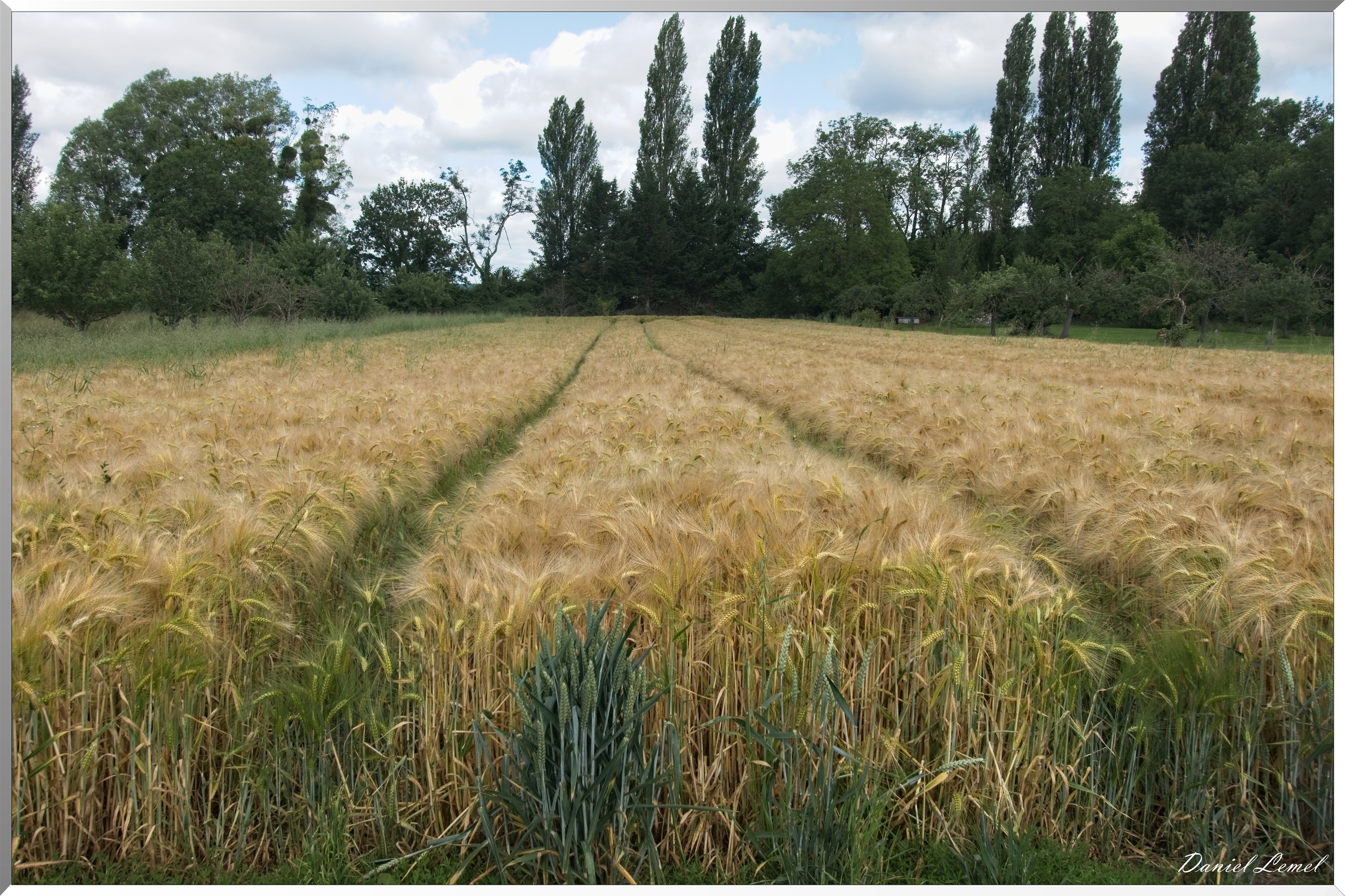 Notre-Dame-de-l'Isle