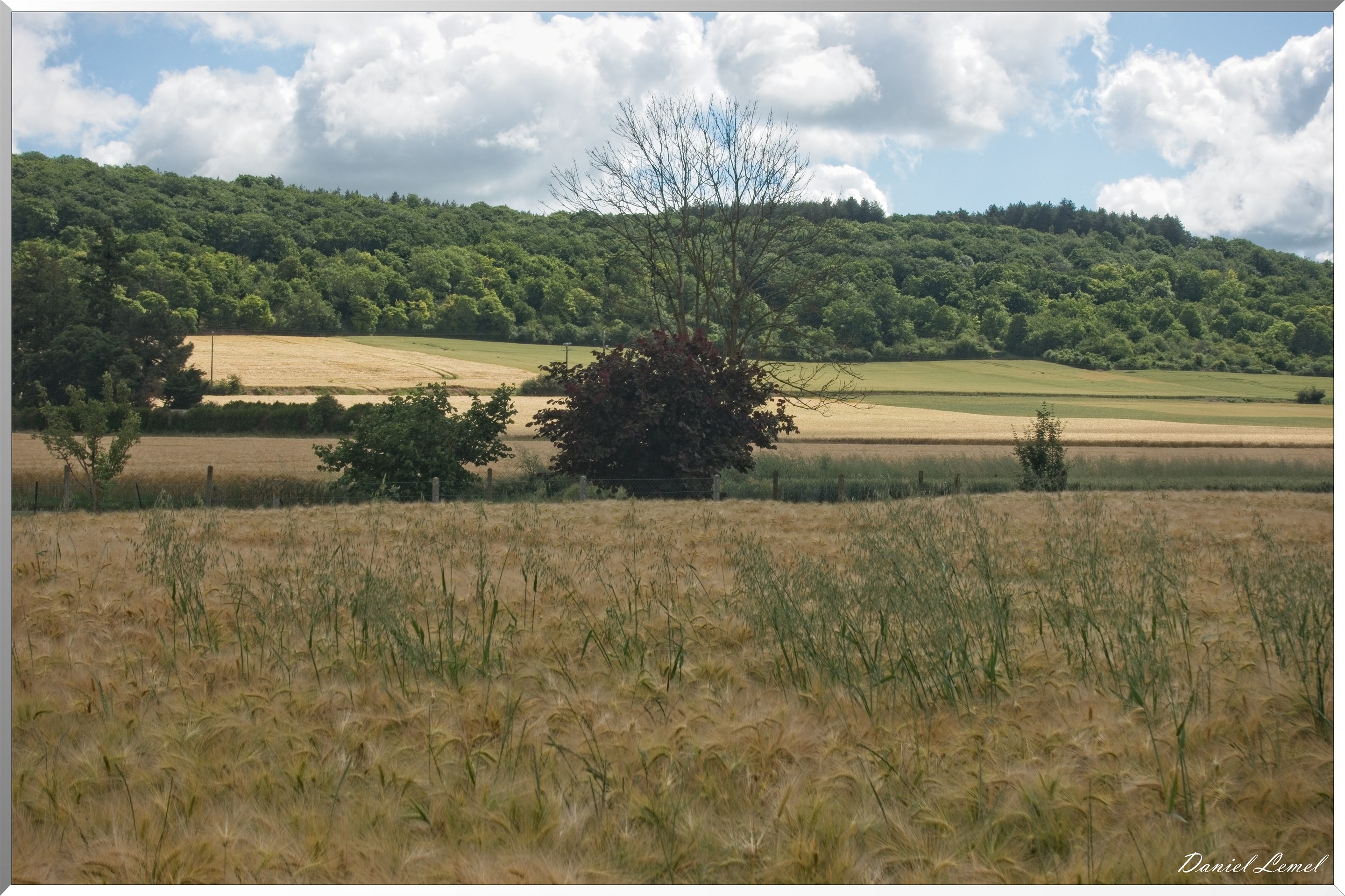 Notre-Dame-de-l'Isle