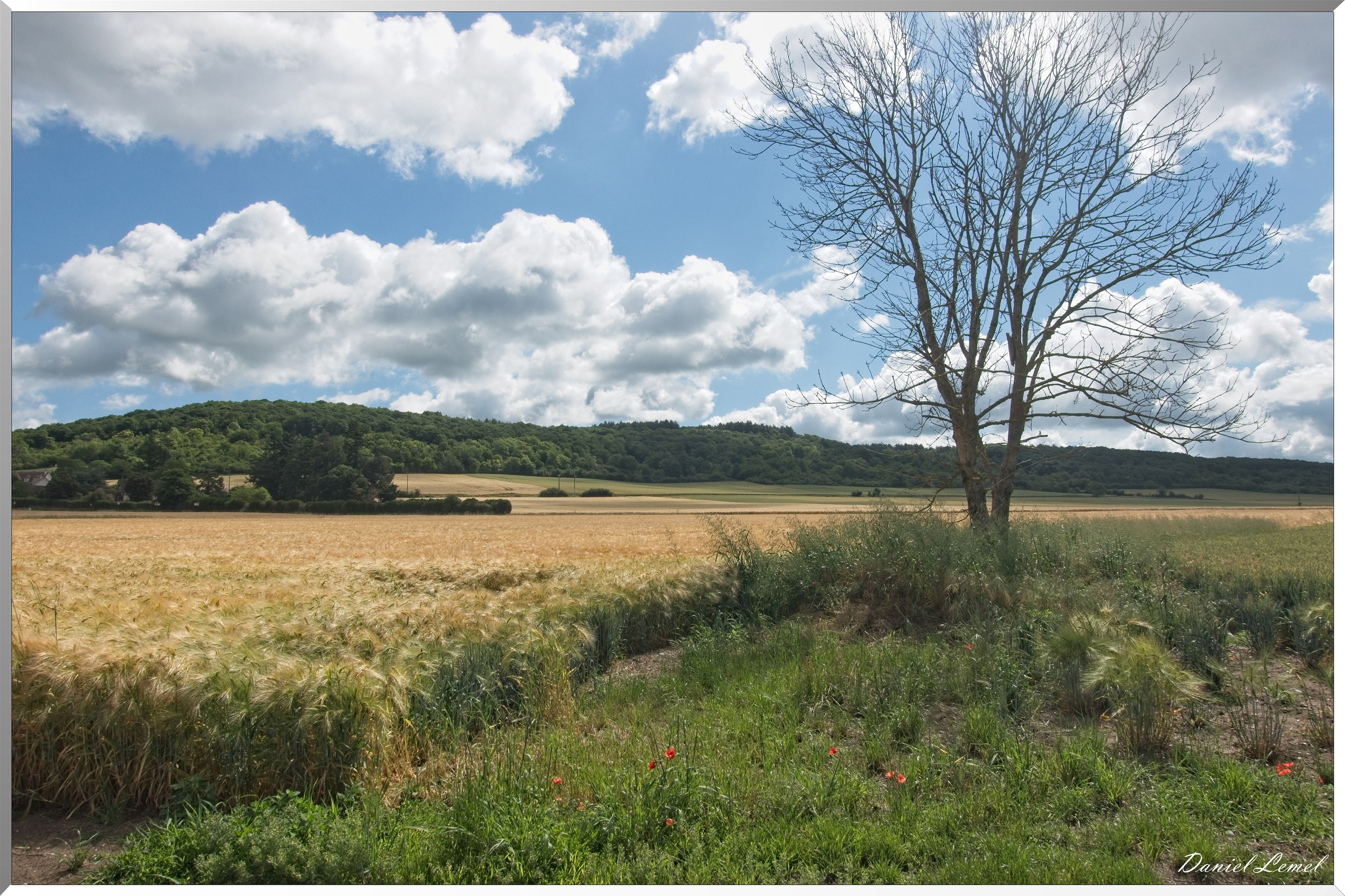 Notre-Dame-de-l'Isle