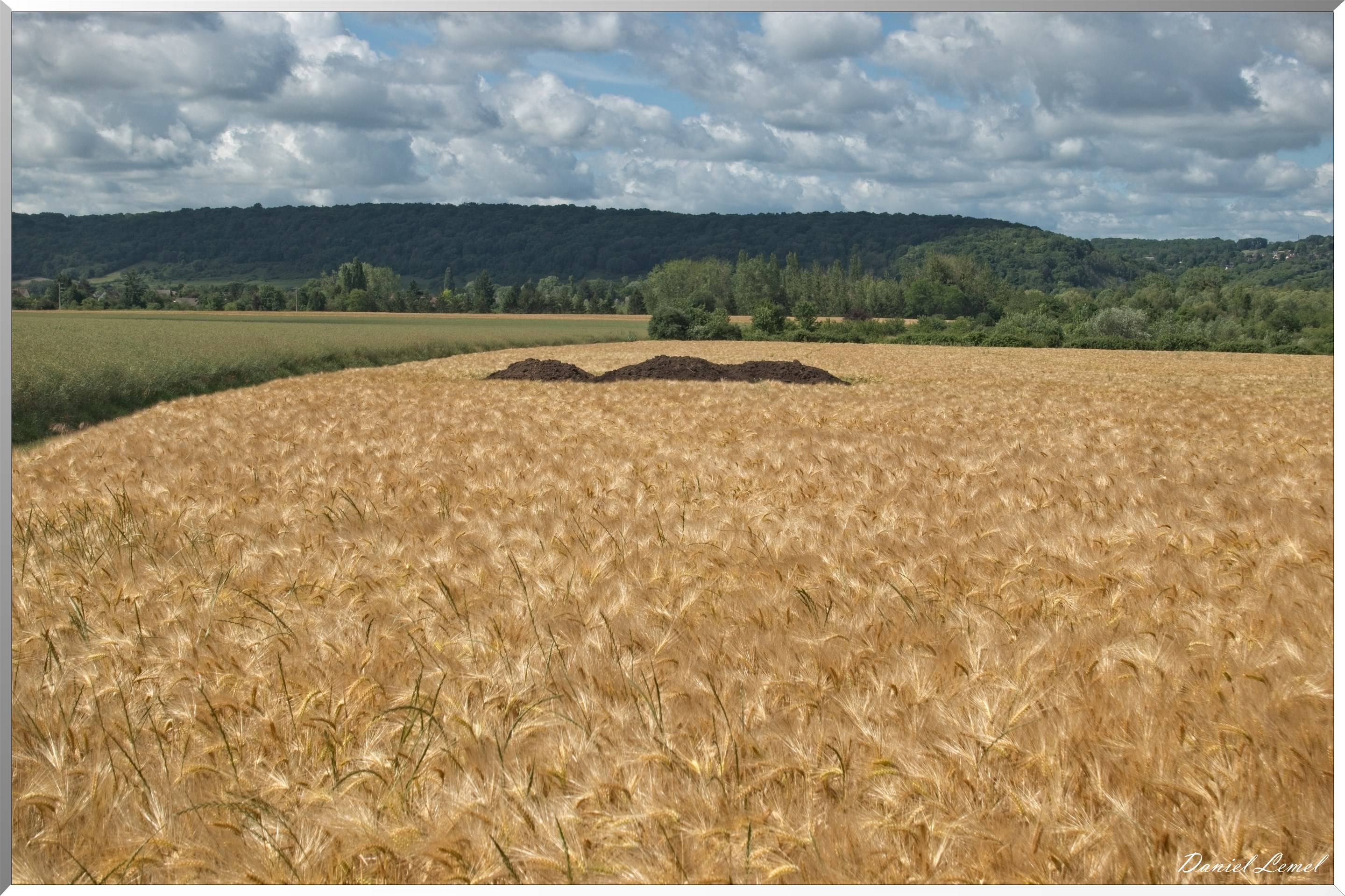 Notre-Dame-de-l'Isle