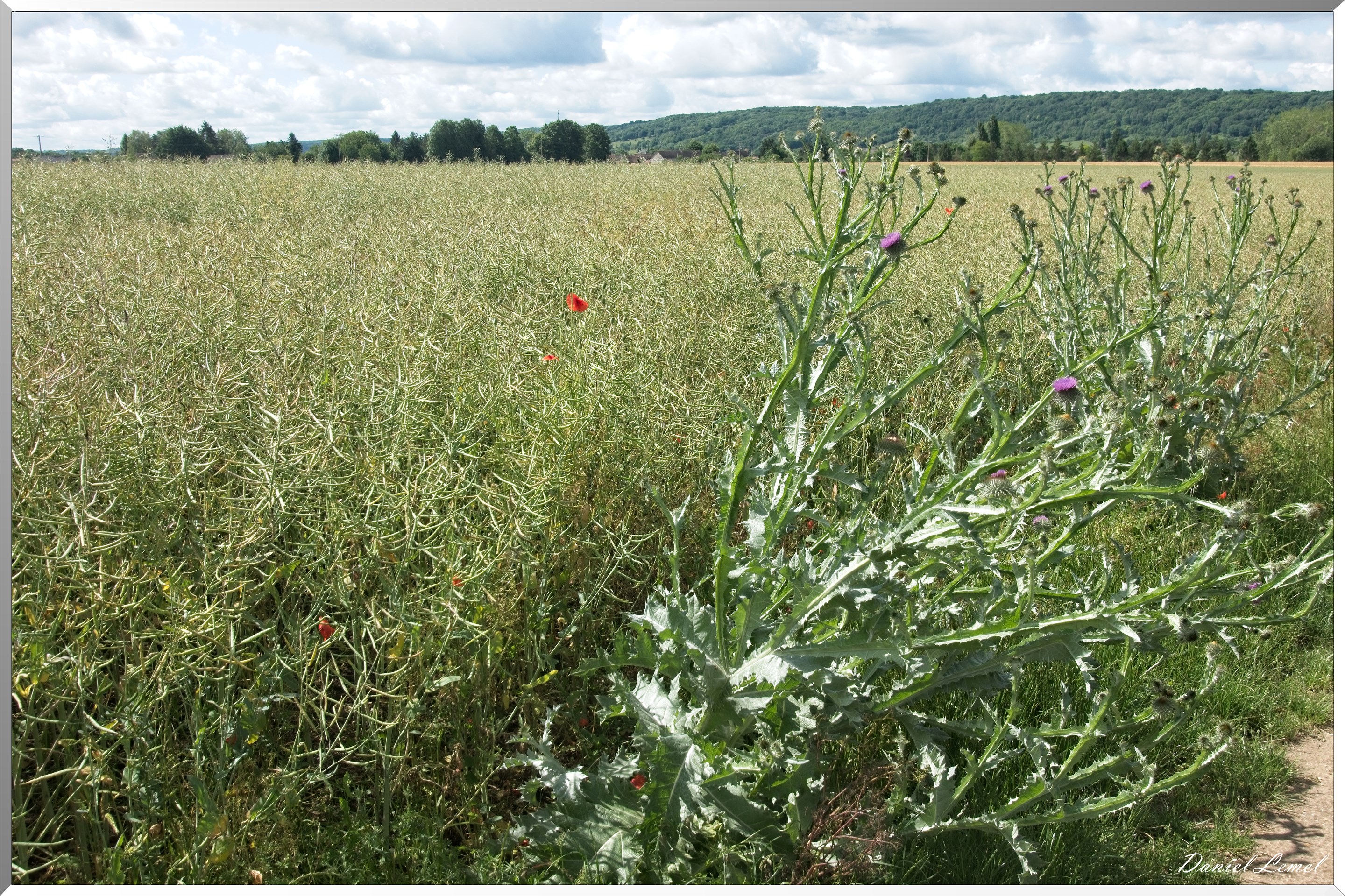 Notre-Dame-de-l'Isle