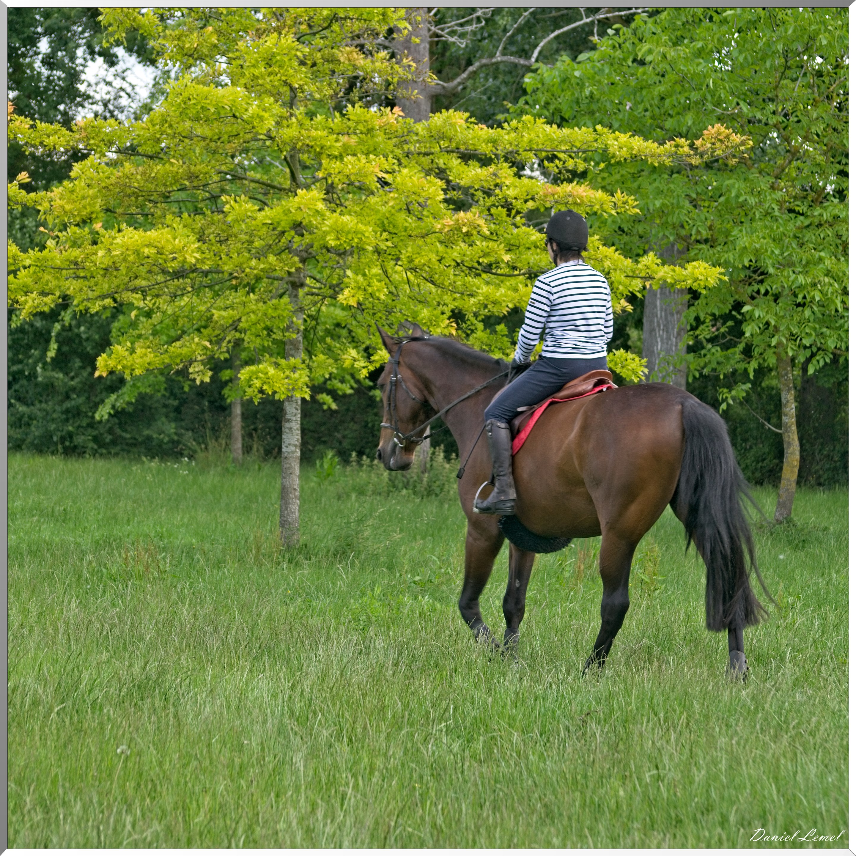 Notre-Dame-de-l'Isle