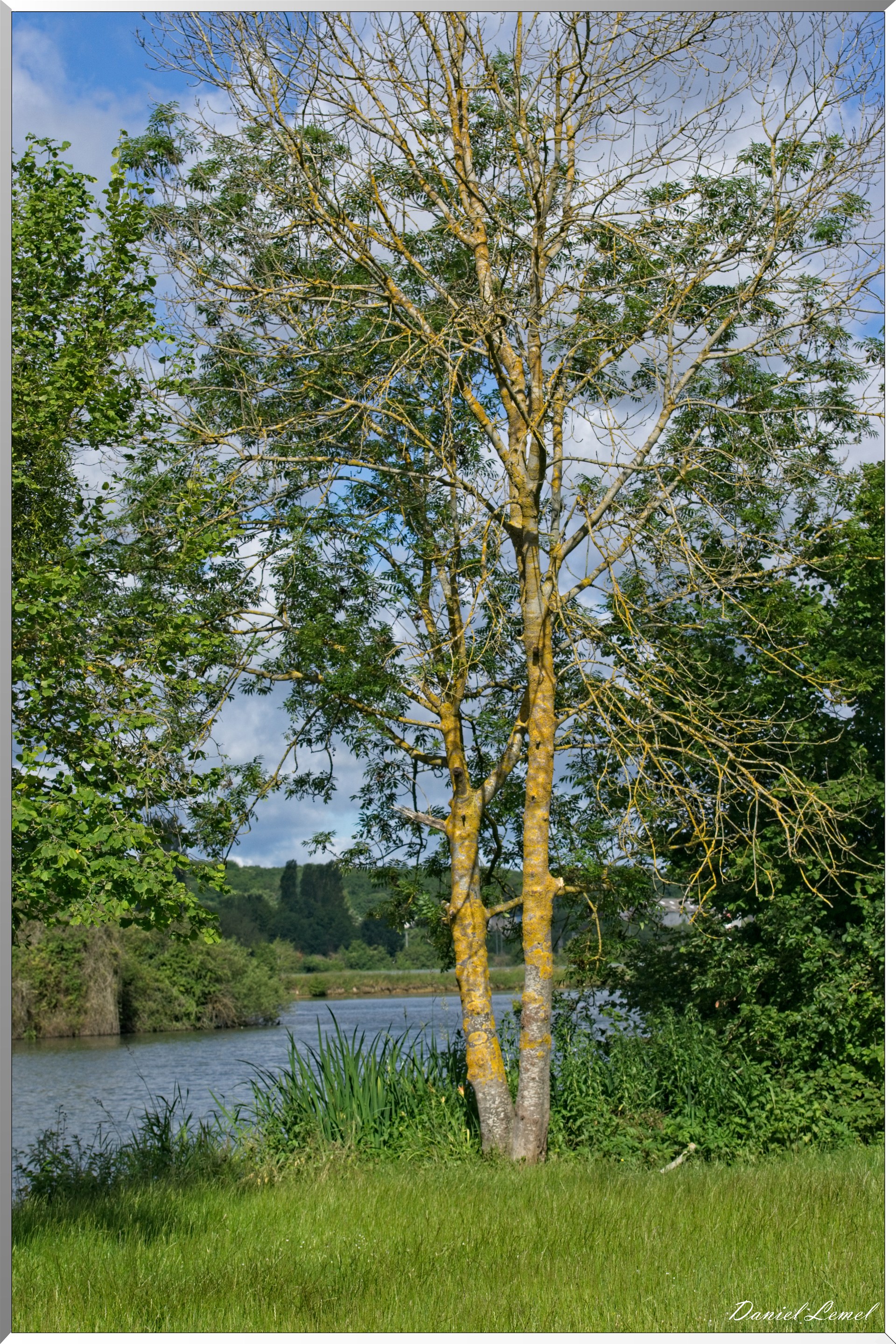 Notre-Dame-de-l'Isle