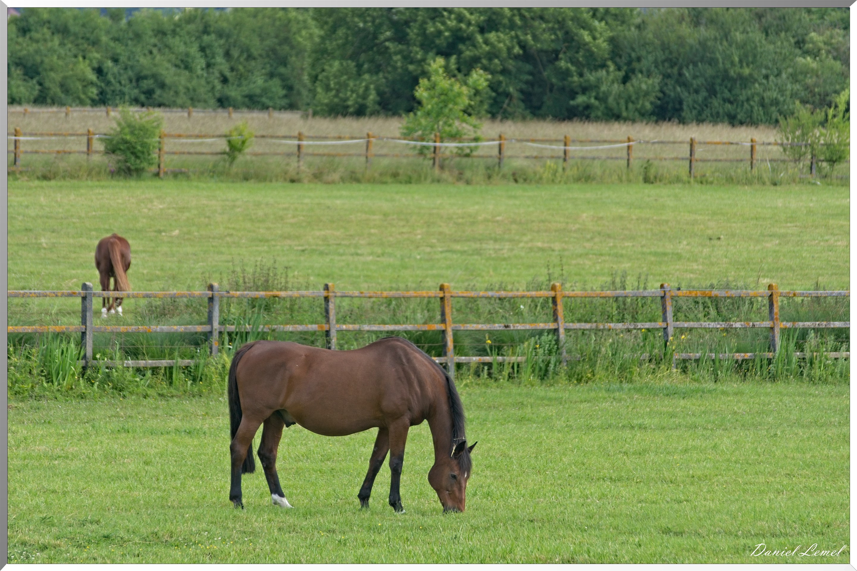 Notre-Dame-de-l'Isle