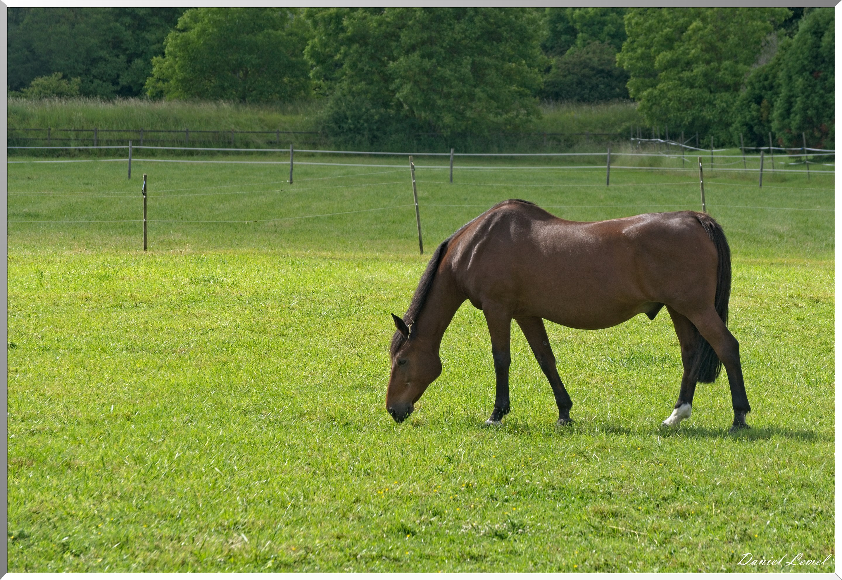 Notre-Dame-de-l'Isle